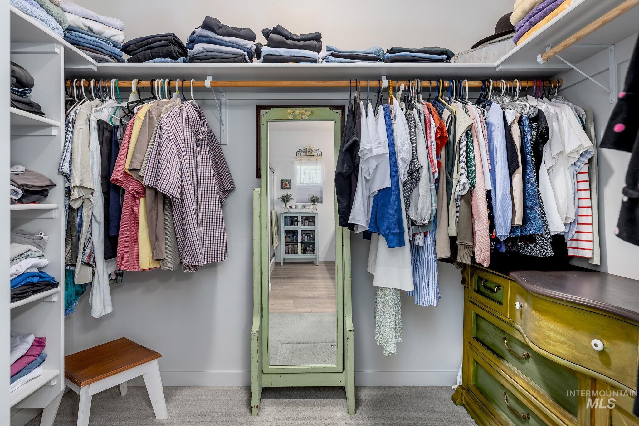 Spacious closet featuring light carpet