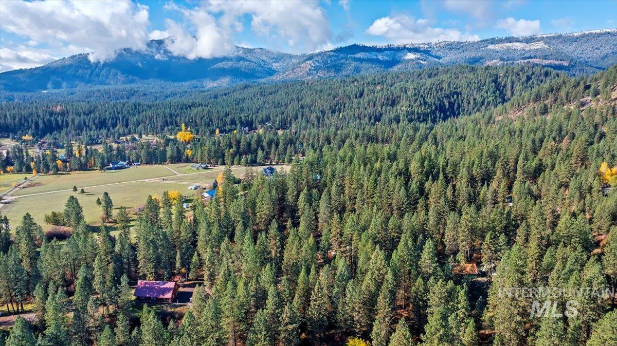 Aerial view of a mountain backdrop and a forest