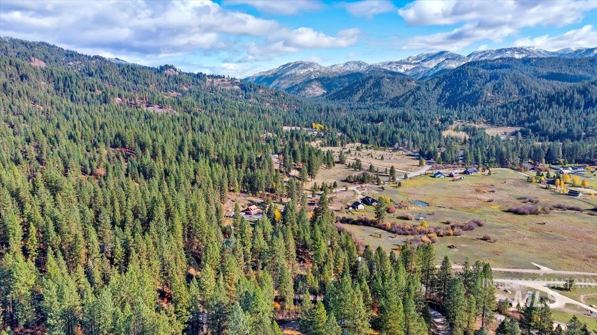 View of mountain background featuring a heavily wooded area