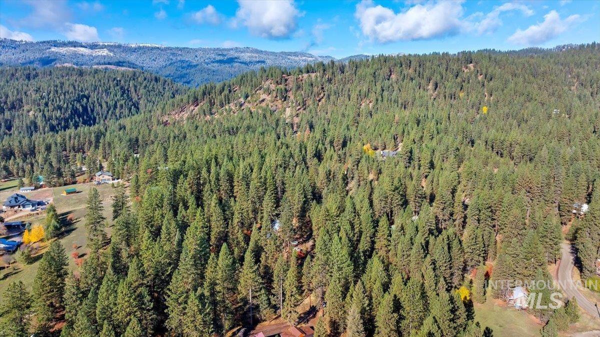 Aerial overview of property's location featuring a heavily wooded area and mountains