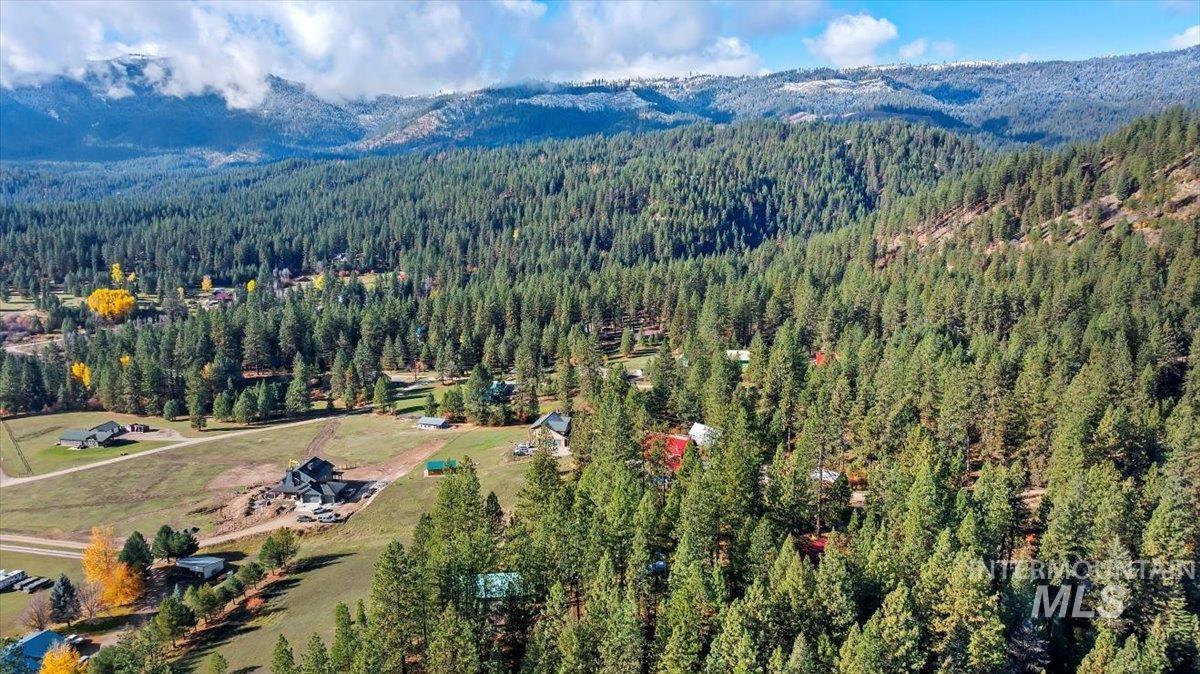 Bird's eye view of a mountain backdrop and a heavily wooded area