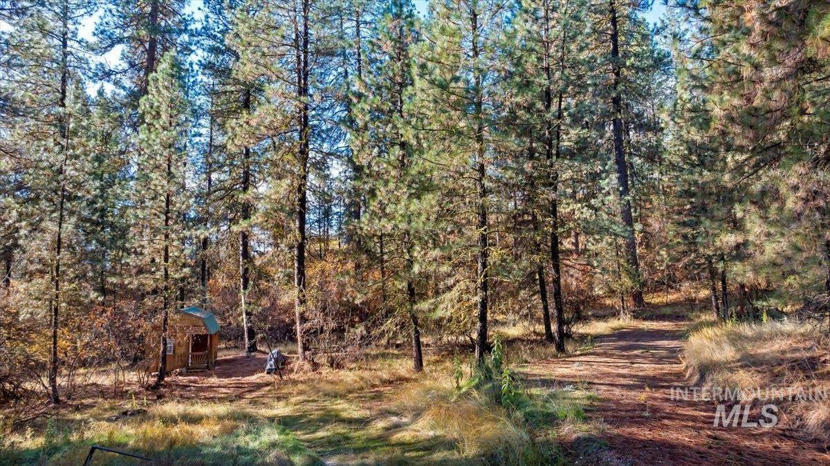 View of yard featuring a view of trees