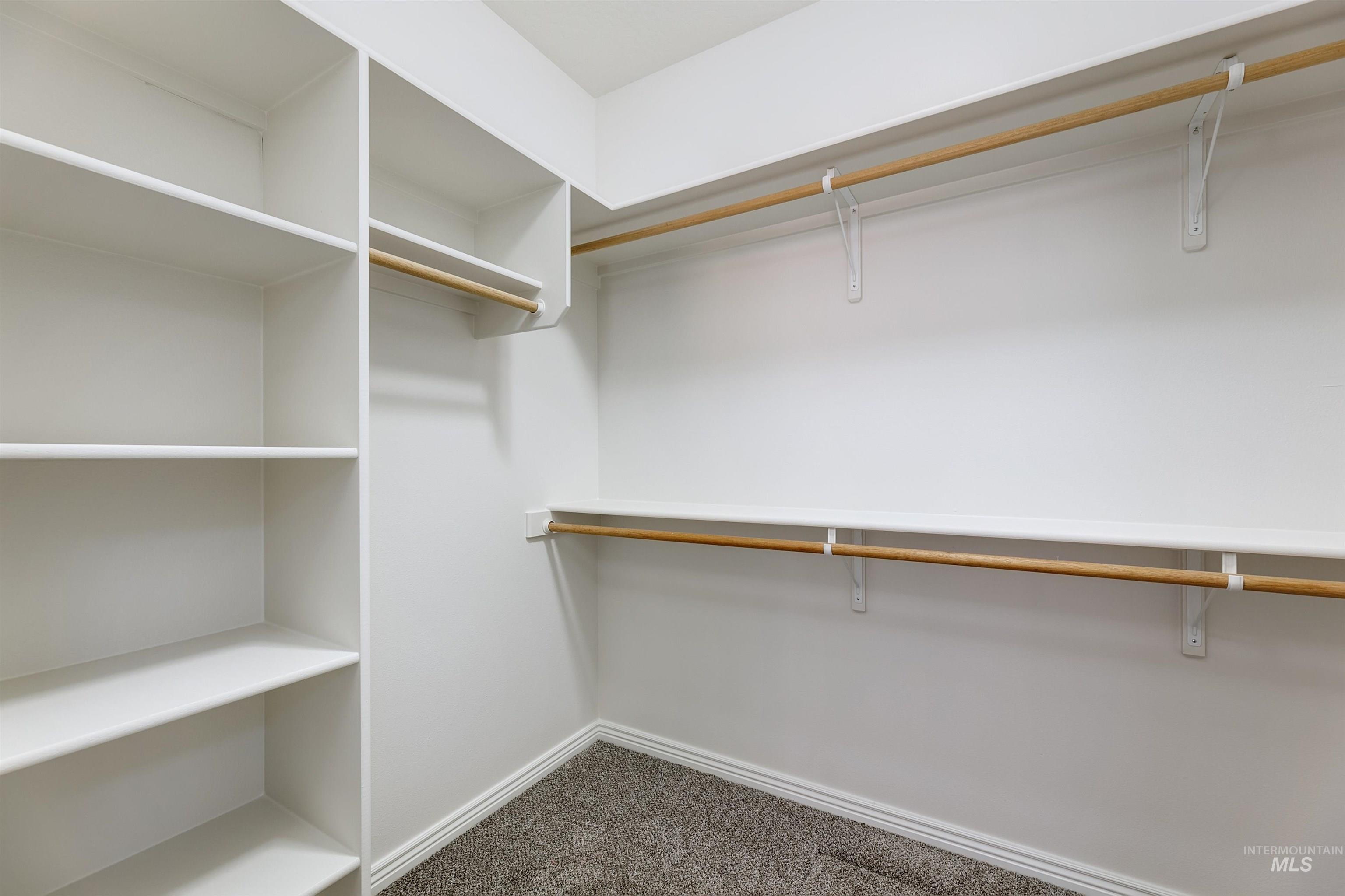 Spacious closet featuring dark colored carpet