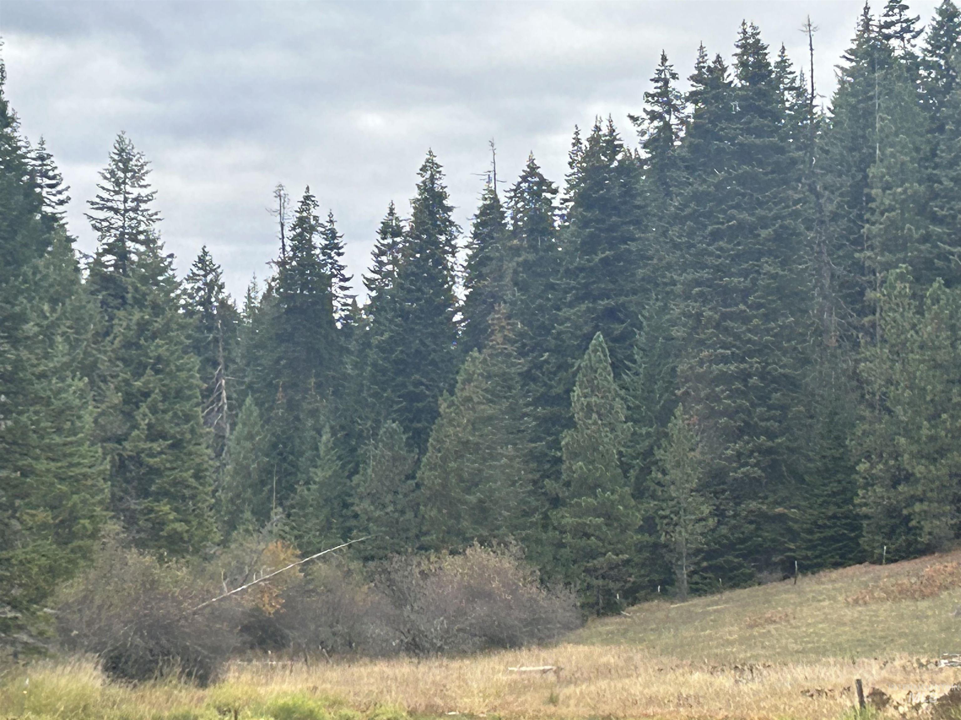 TBD LOT 1 Glenwood Road, Kamiah, Idaho 83536, Land For Sale, Price $145,000, 98966024