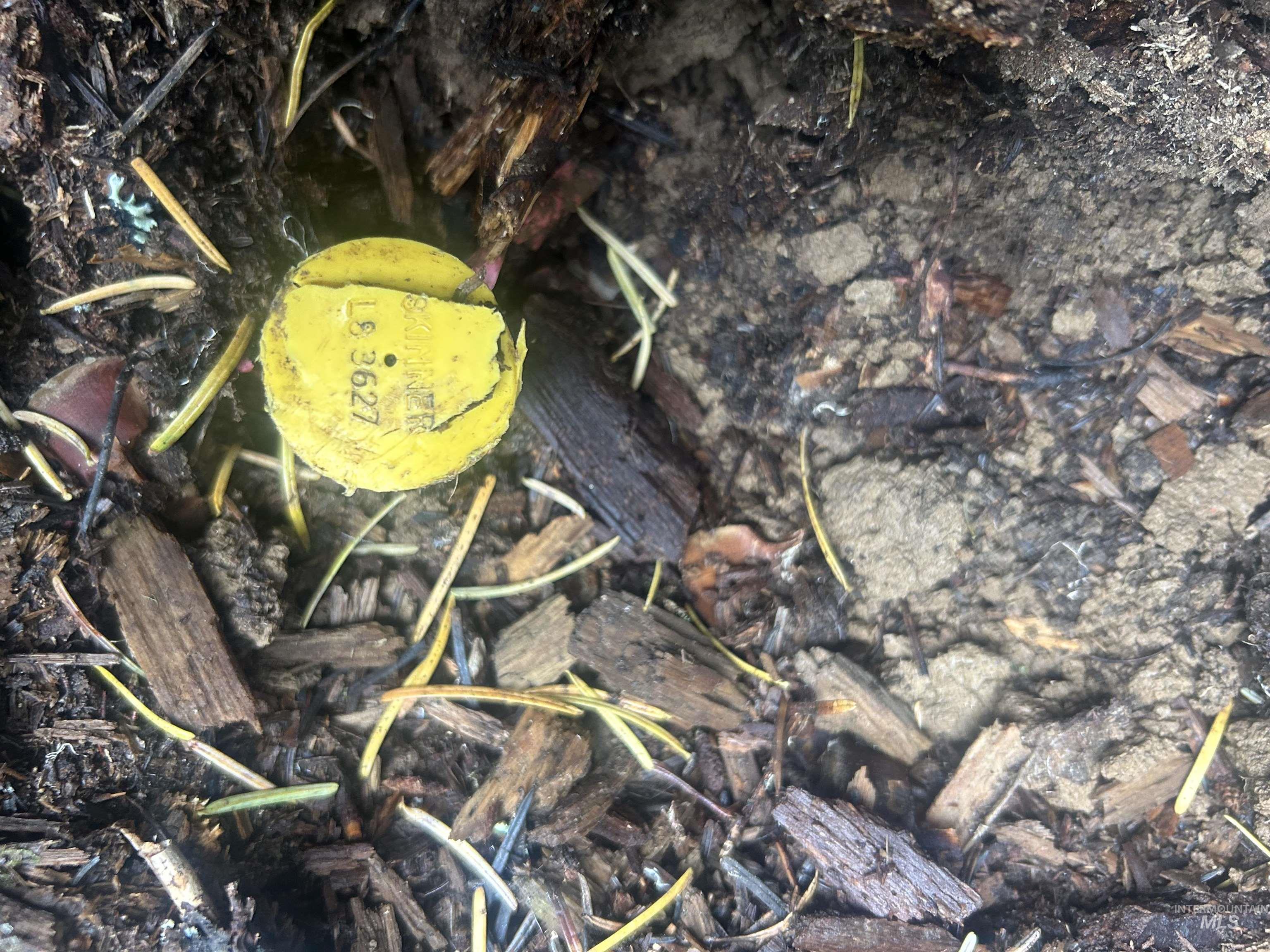 TBD LOT 1 Glenwood Road, Kamiah, Idaho 83536, Land For Sale, Price $145,000, 98966024