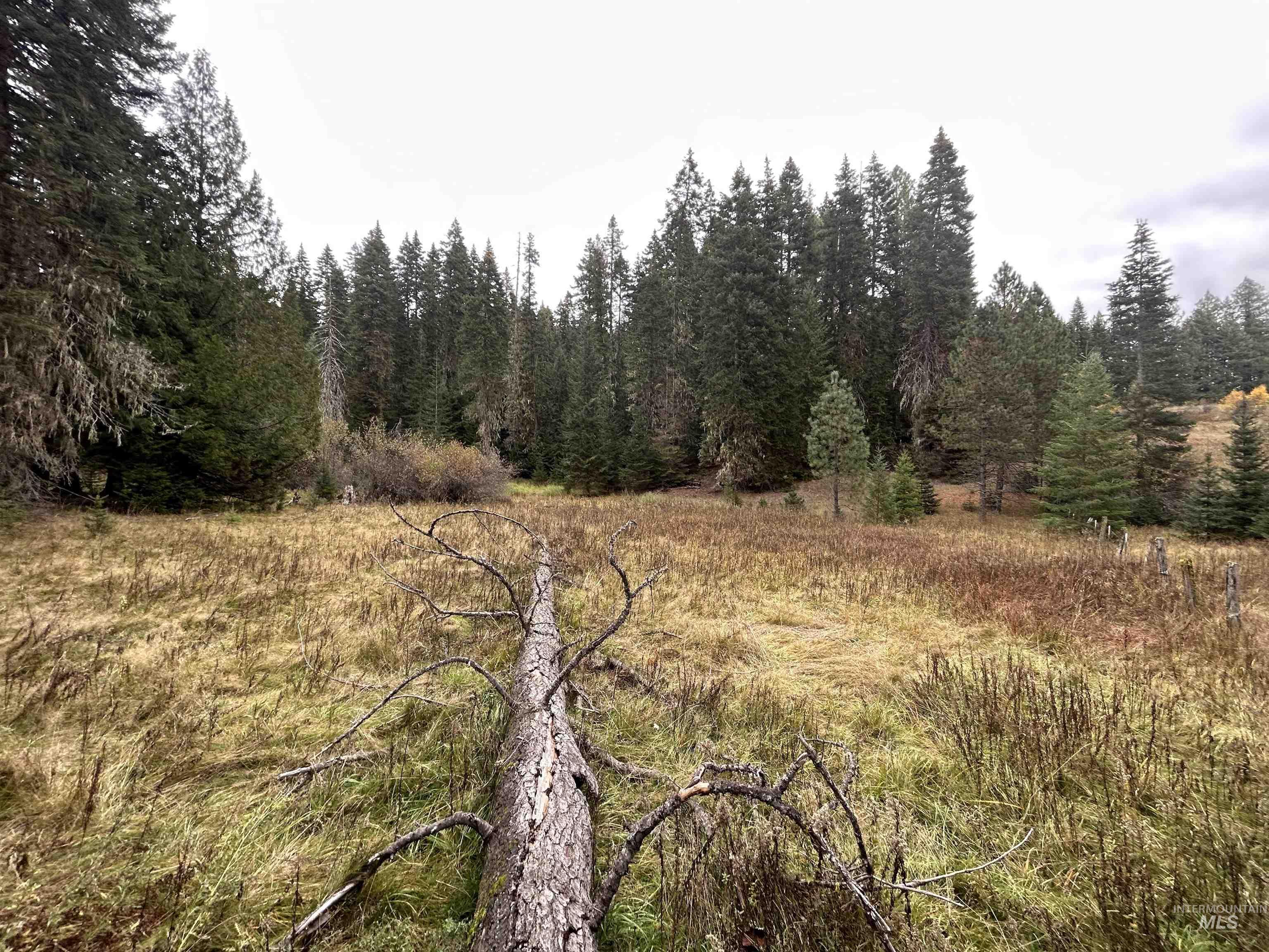 TBD LOT 1 Glenwood Road, Kamiah, Idaho 83536, Land For Sale, Price $145,000, 98966024