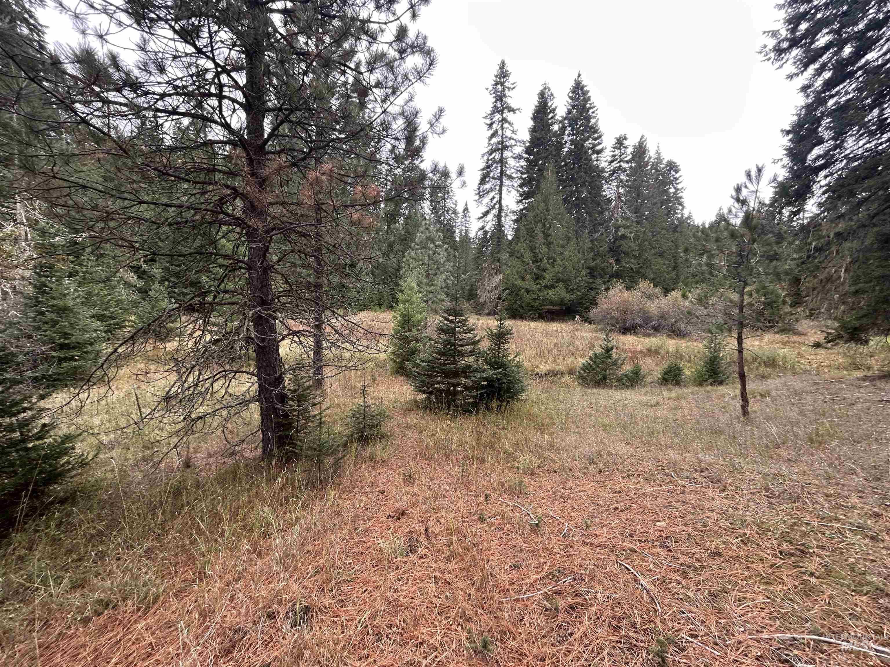 TBD LOT 1 Glenwood Road, Kamiah, Idaho 83536, Land For Sale, Price $145,000, 98966024