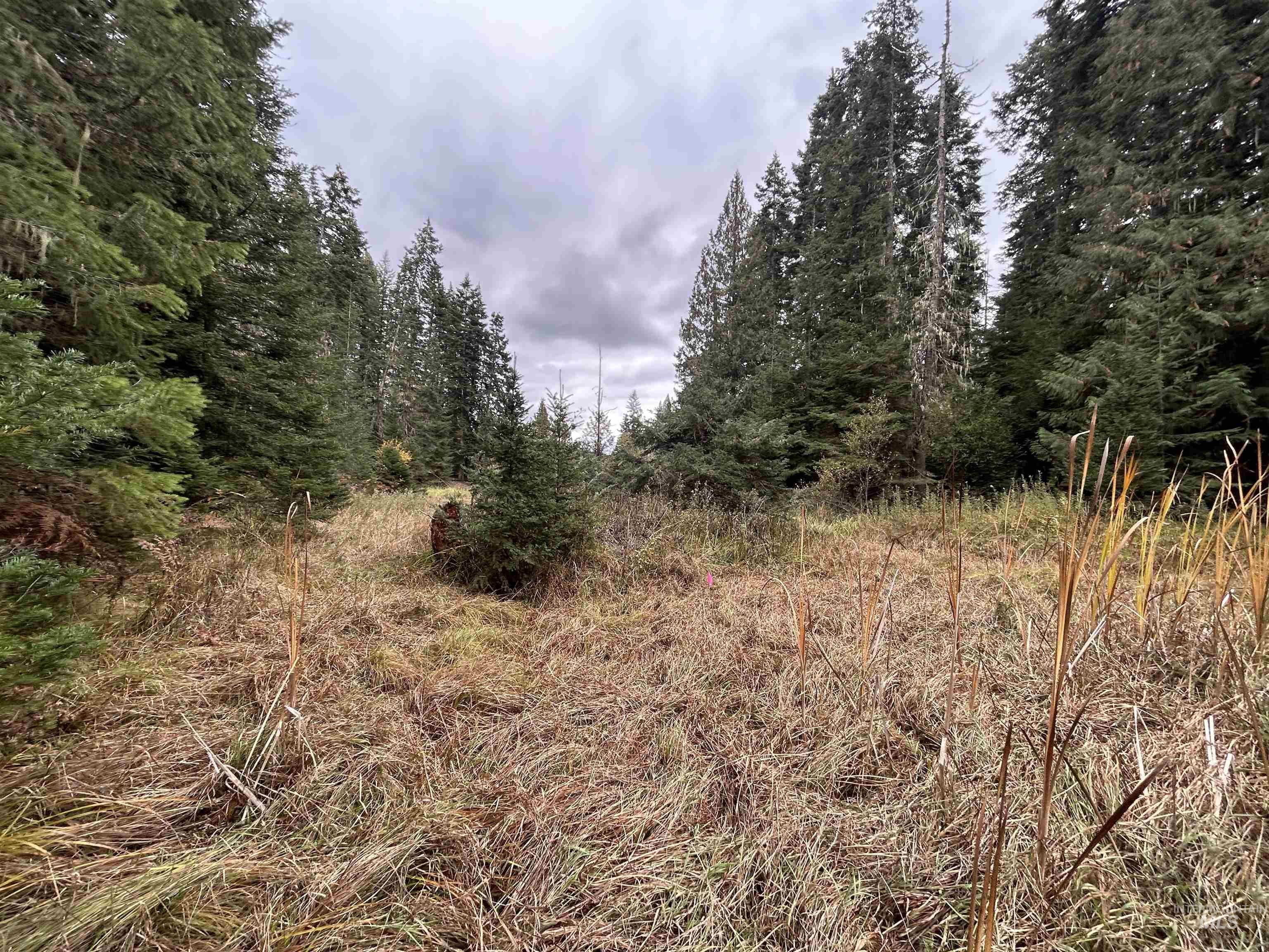 TBD LOT 1 Glenwood Road, Kamiah, Idaho 83536, Land For Sale, Price $145,000, 98966024