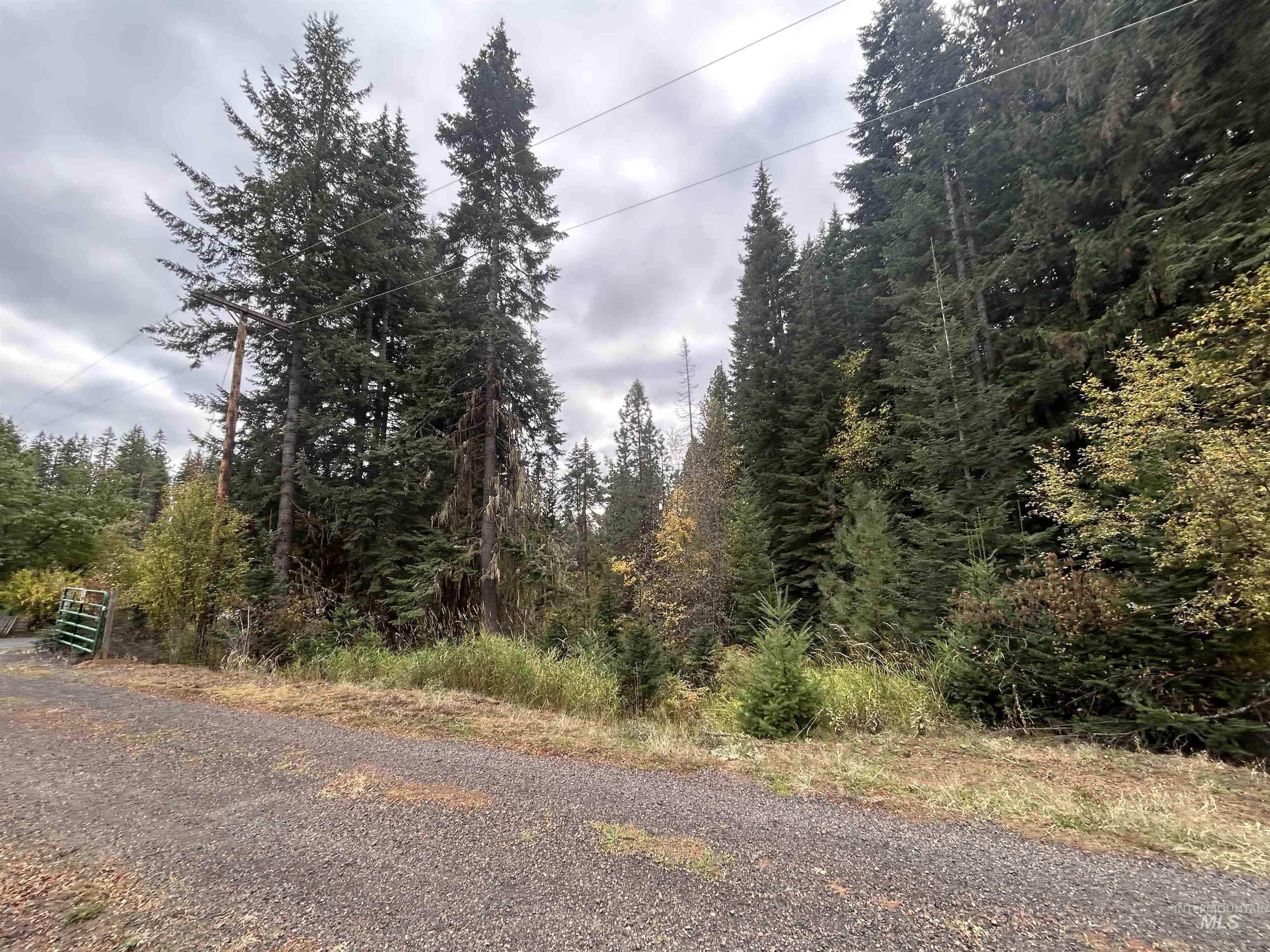 TBD LOT 1 Glenwood Road, Kamiah, Idaho 83536, Land For Sale, Price $145,000, 98966024