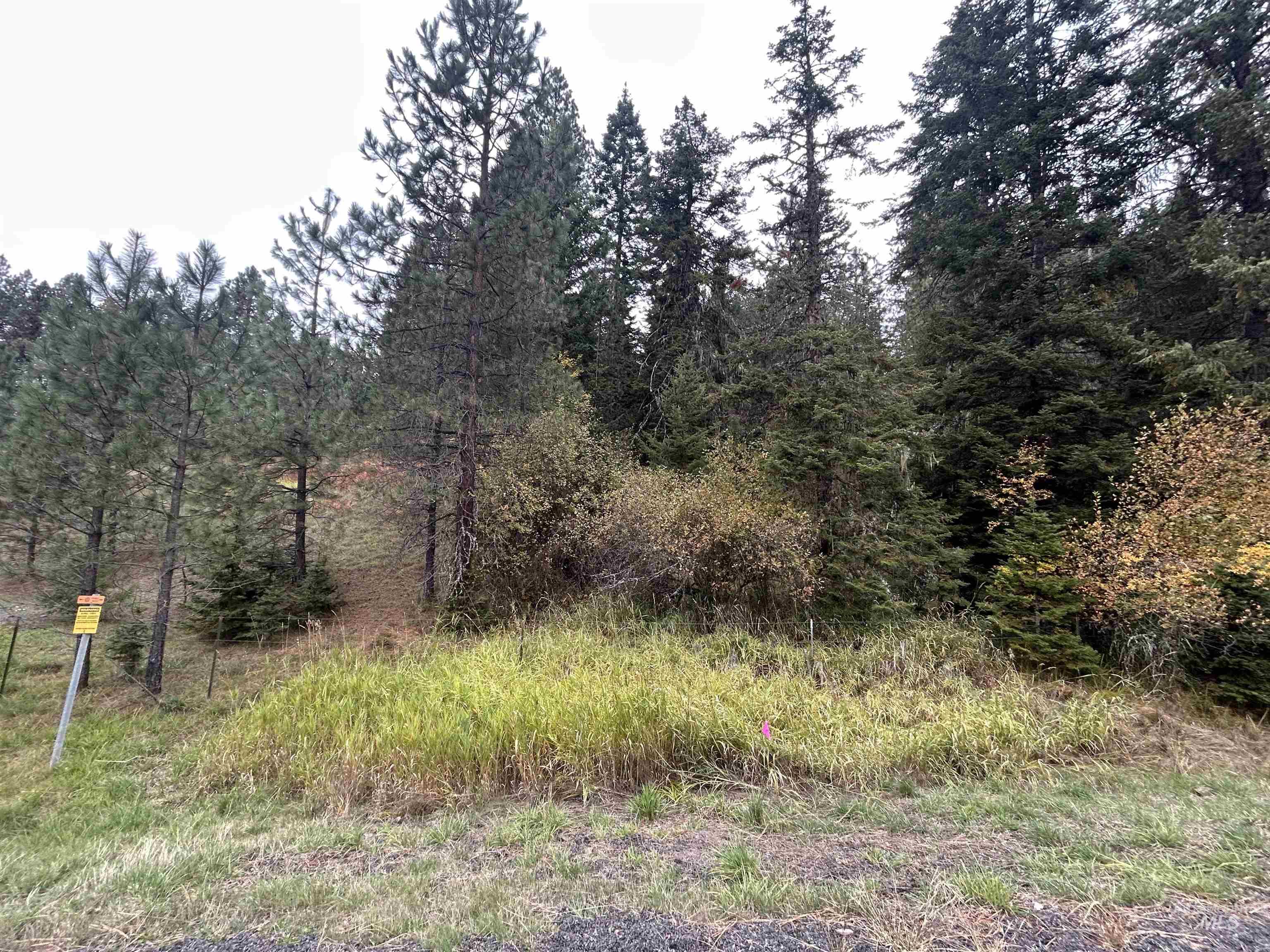 TBD LOT 1 Glenwood Road, Kamiah, Idaho 83536, Land For Sale, Price $145,000, 98966024