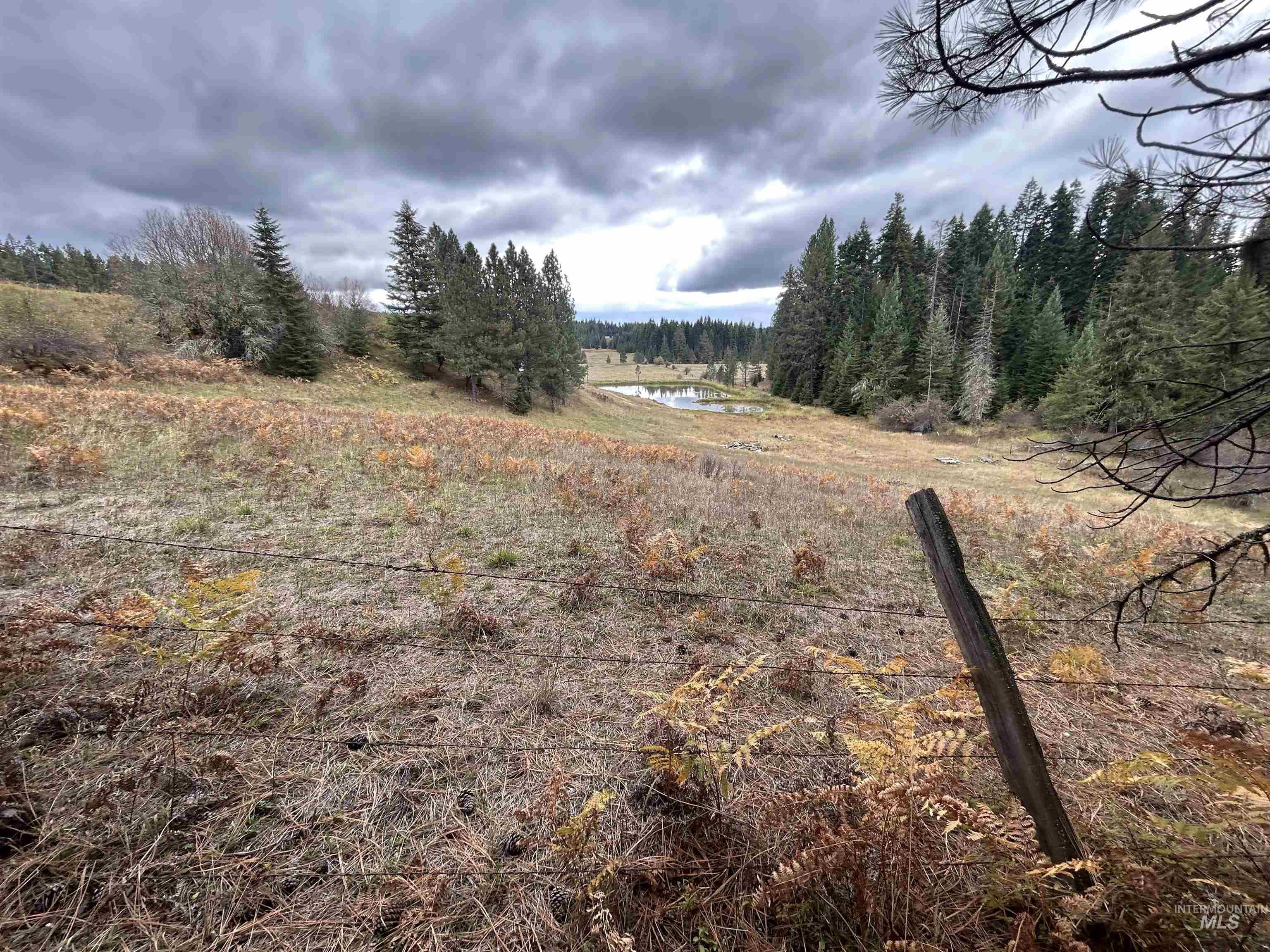 View from subject property looking toward Glenwood Road