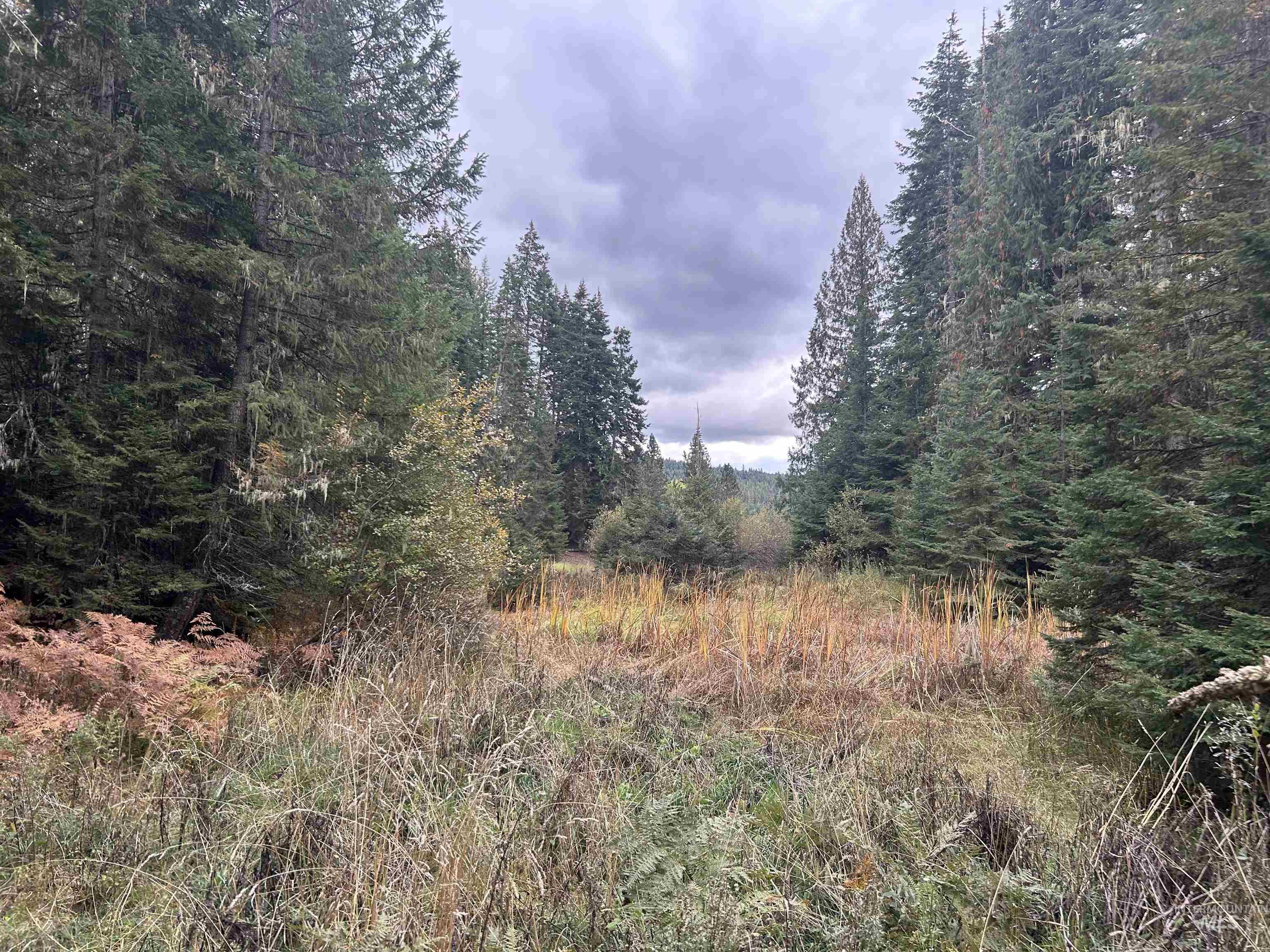 TBD LOT 1 Glenwood Road, Kamiah, Idaho 83536, Land For Sale, Price $145,000, 98966024