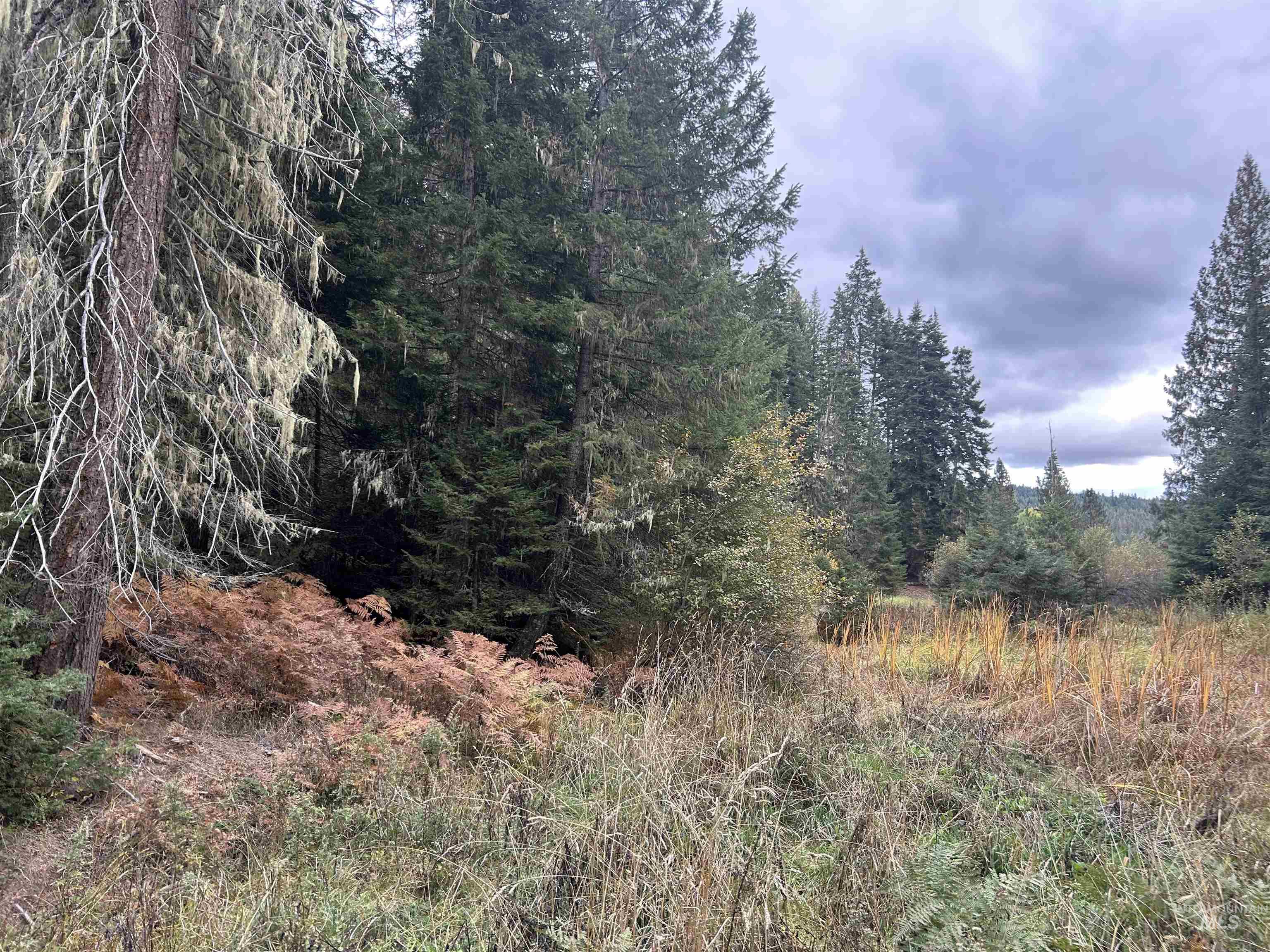 TBD LOT 1 Glenwood Road, Kamiah, Idaho 83536, Land For Sale, Price $145,000, 98966024