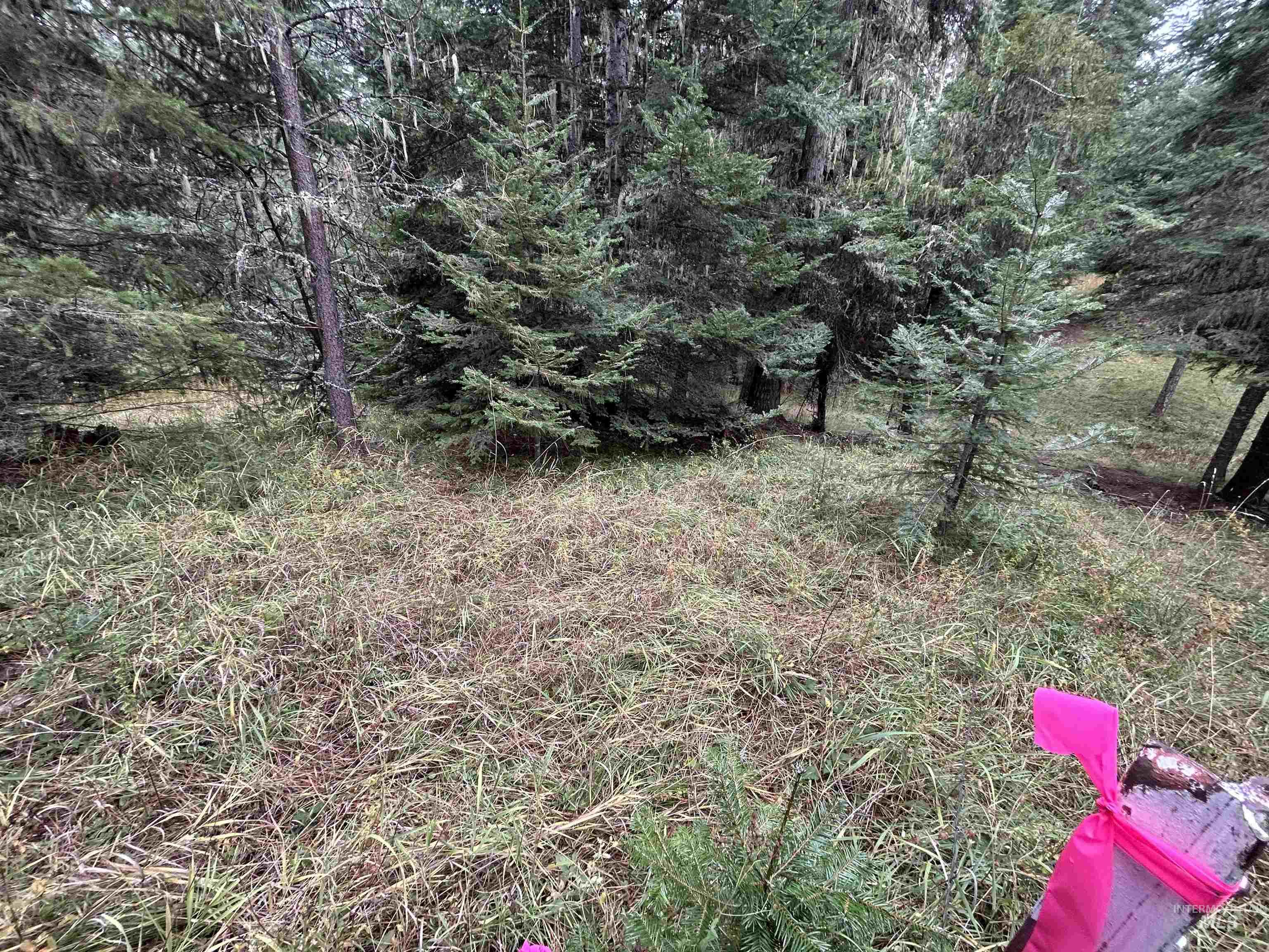 TBD LOT 1 Glenwood Road, Kamiah, Idaho 83536, Land For Sale, Price $145,000, 98966024