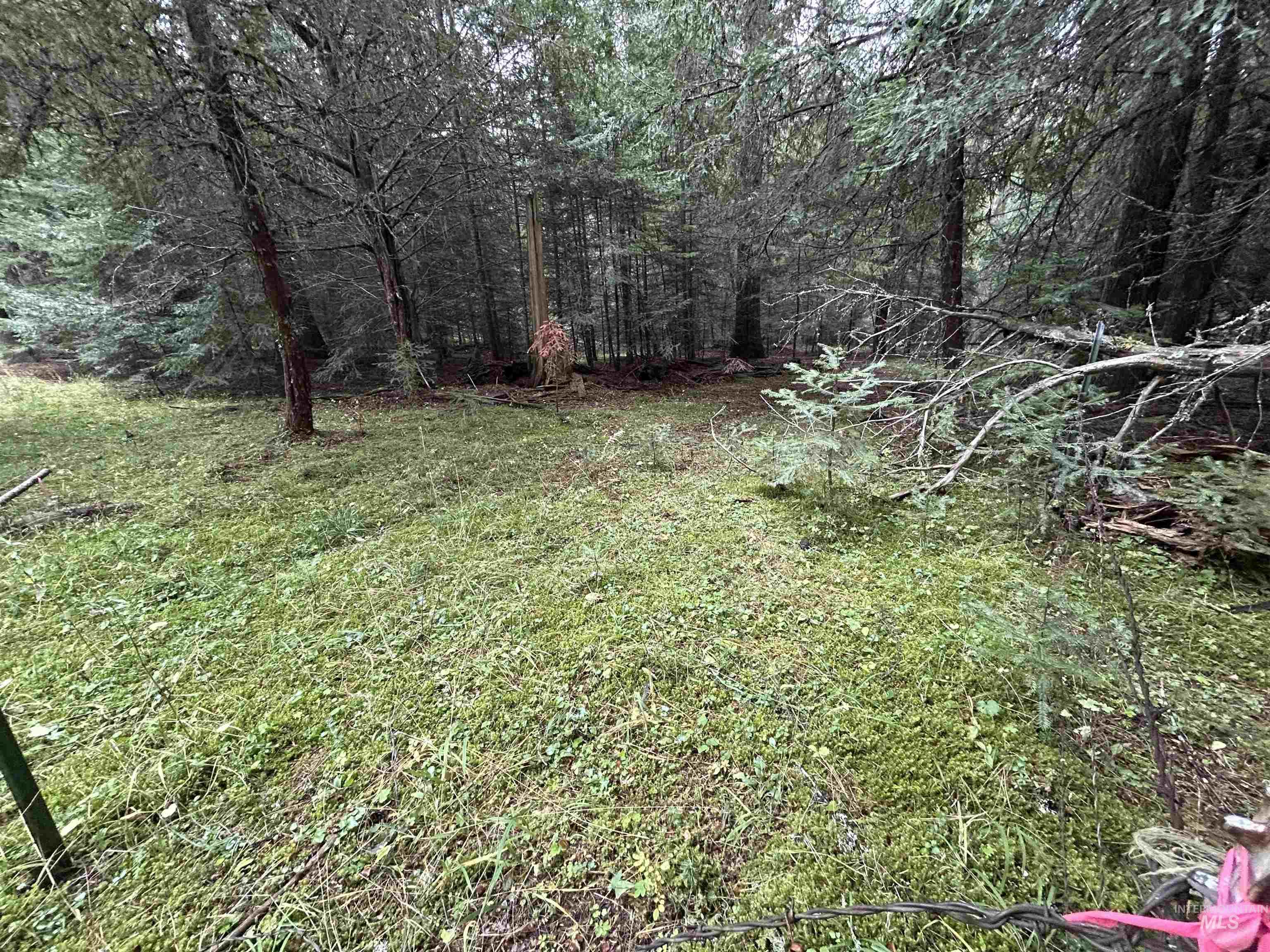 TBD LOT 1 Glenwood Road, Kamiah, Idaho 83536, Land For Sale, Price $145,000, 98966024