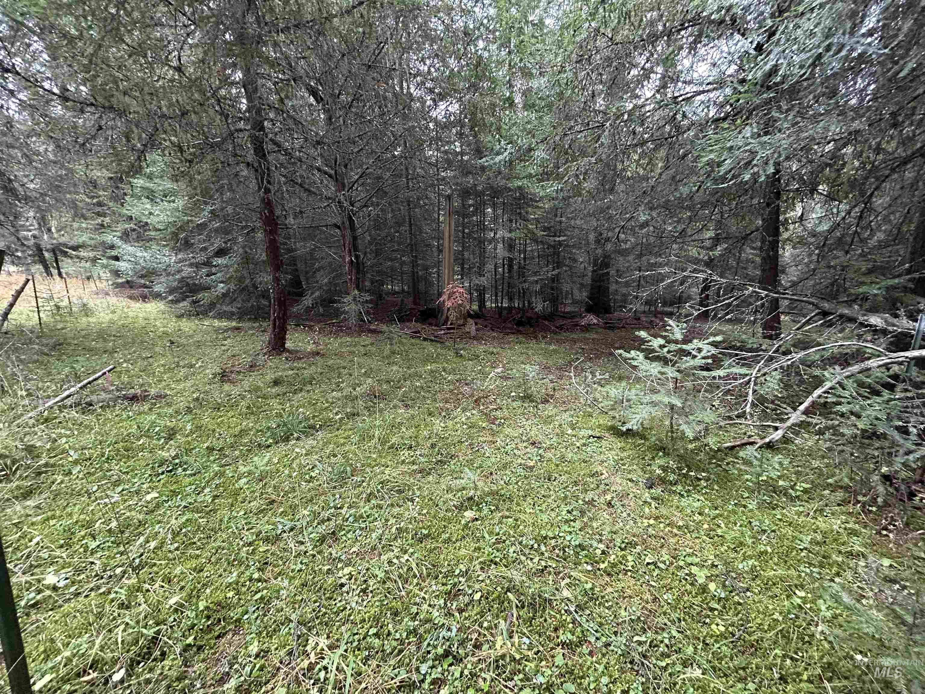 TBD LOT 1 Glenwood Road, Kamiah, Idaho 83536, Land For Sale, Price $145,000, 98966024