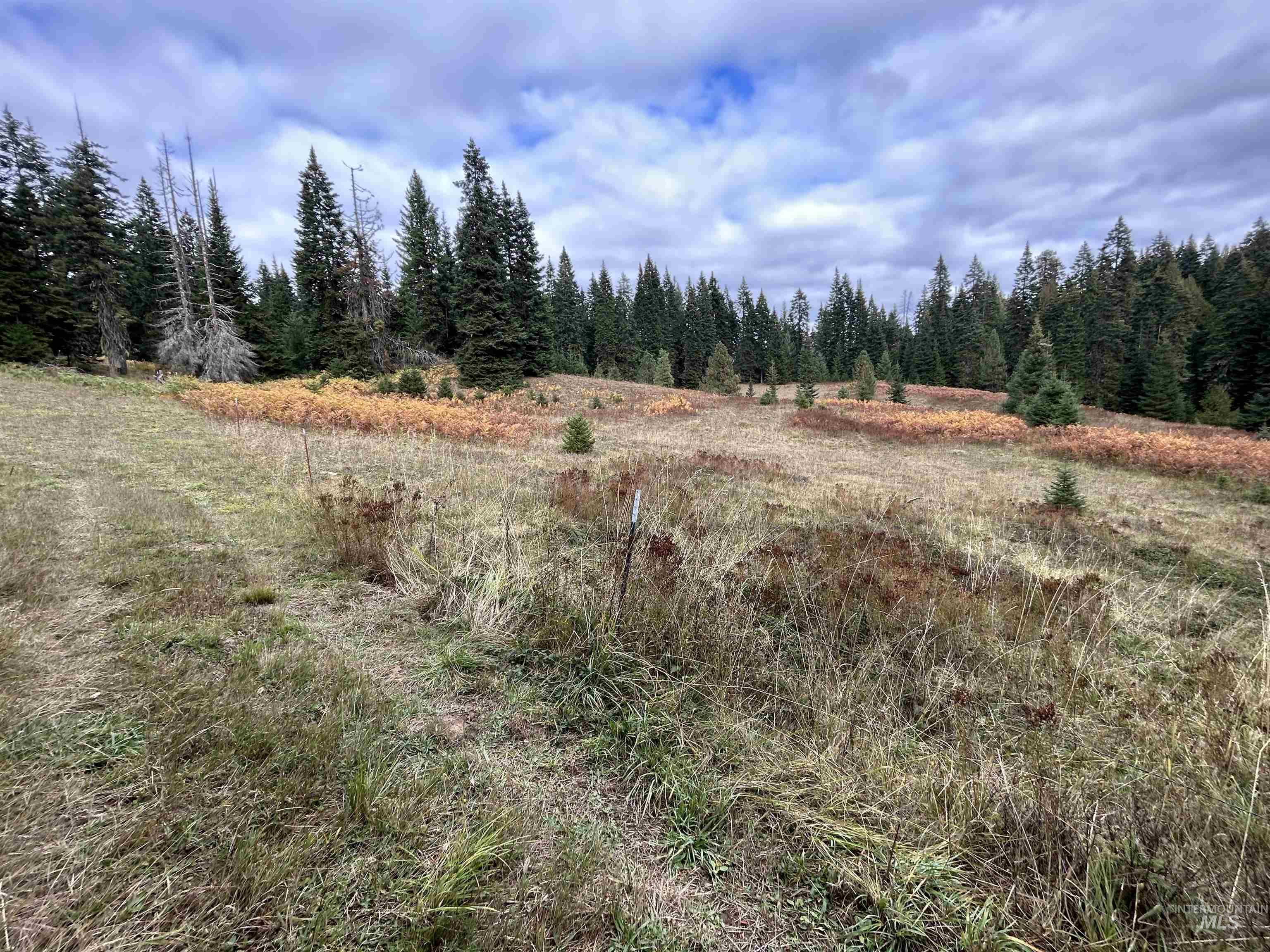 TBD LOT 3 Glenwood Road, Kamiah, Idaho 83536, Land For Sale, Price $145,000, 98966025