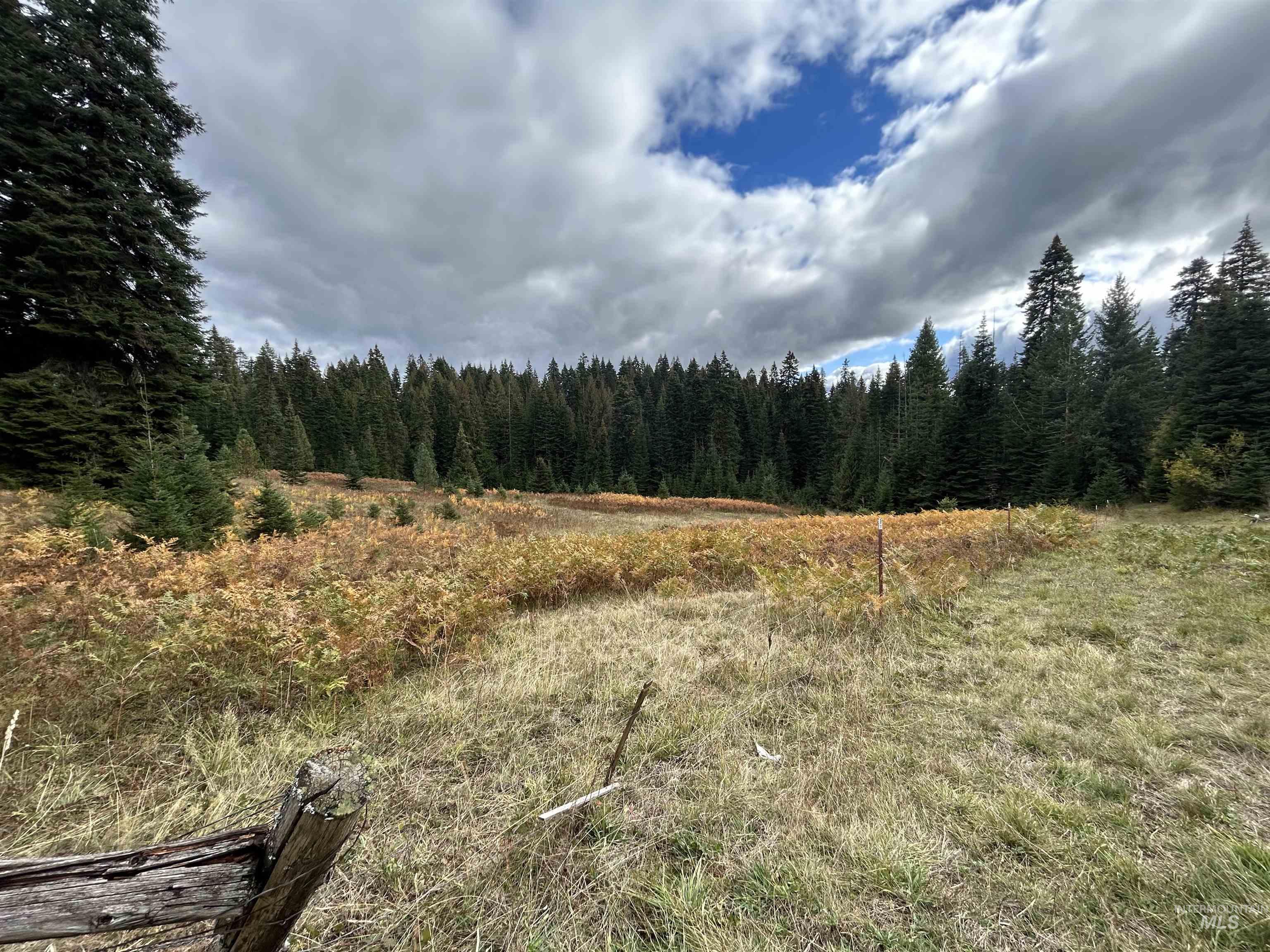 TBD LOT 3 Glenwood Road, Kamiah, Idaho 83536, Land For Sale, Price $145,000, 98966025