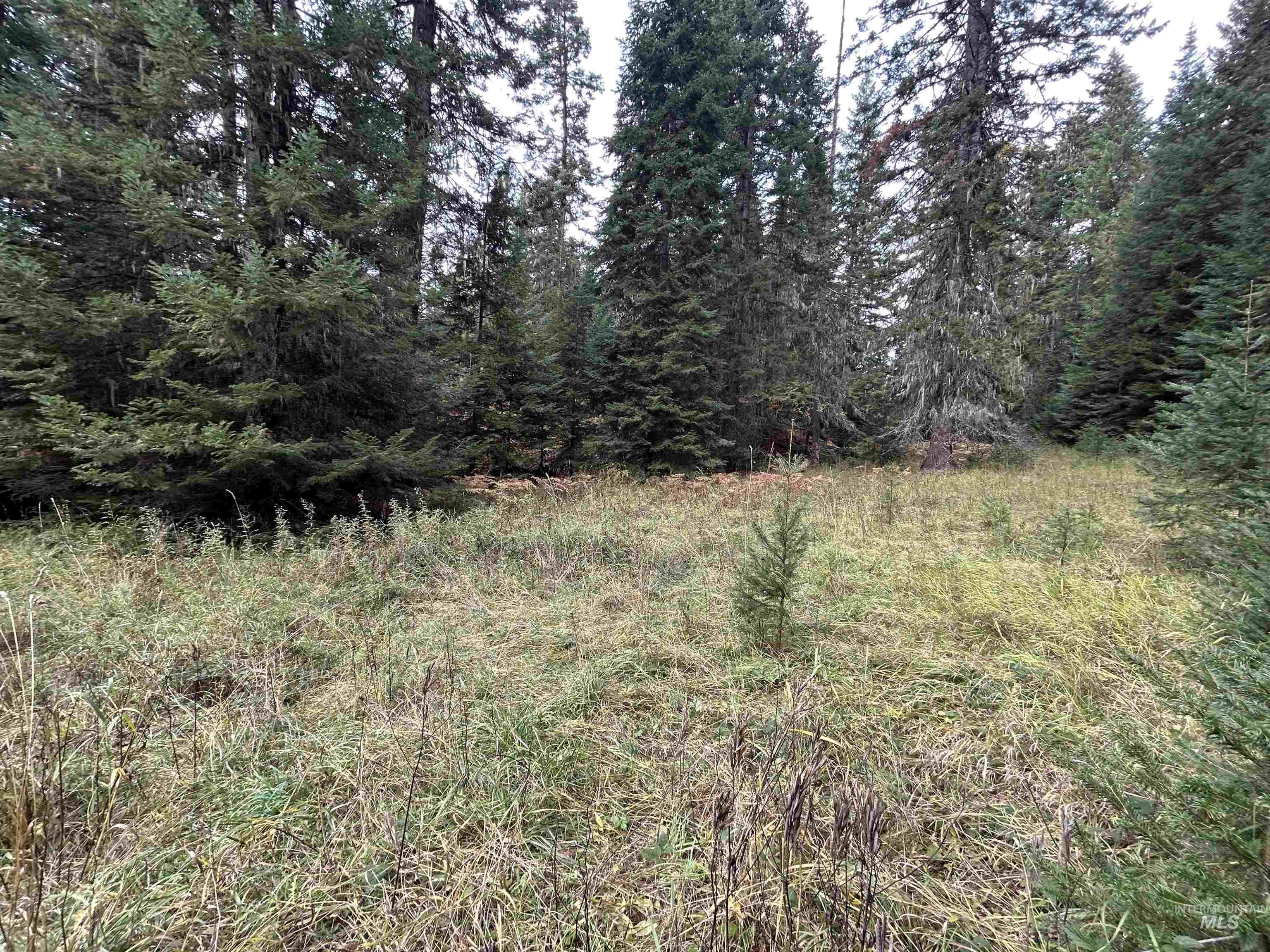 TBD LOT 3 Glenwood Road, Kamiah, Idaho 83536, Land For Sale, Price $145,000, 98966025