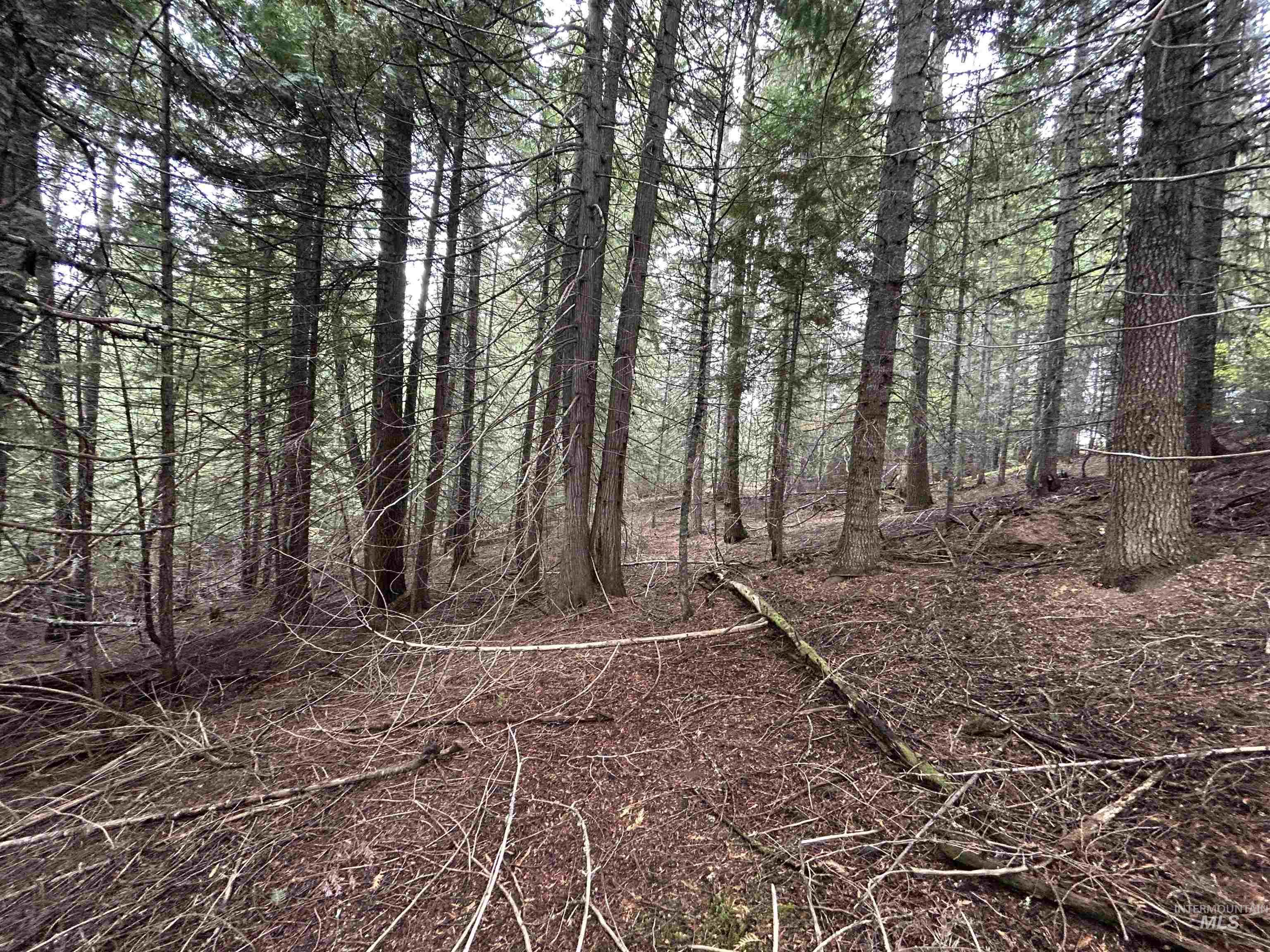 TBD LOT 3 Glenwood Road, Kamiah, Idaho 83536, Land For Sale, Price $145,000, 98966025