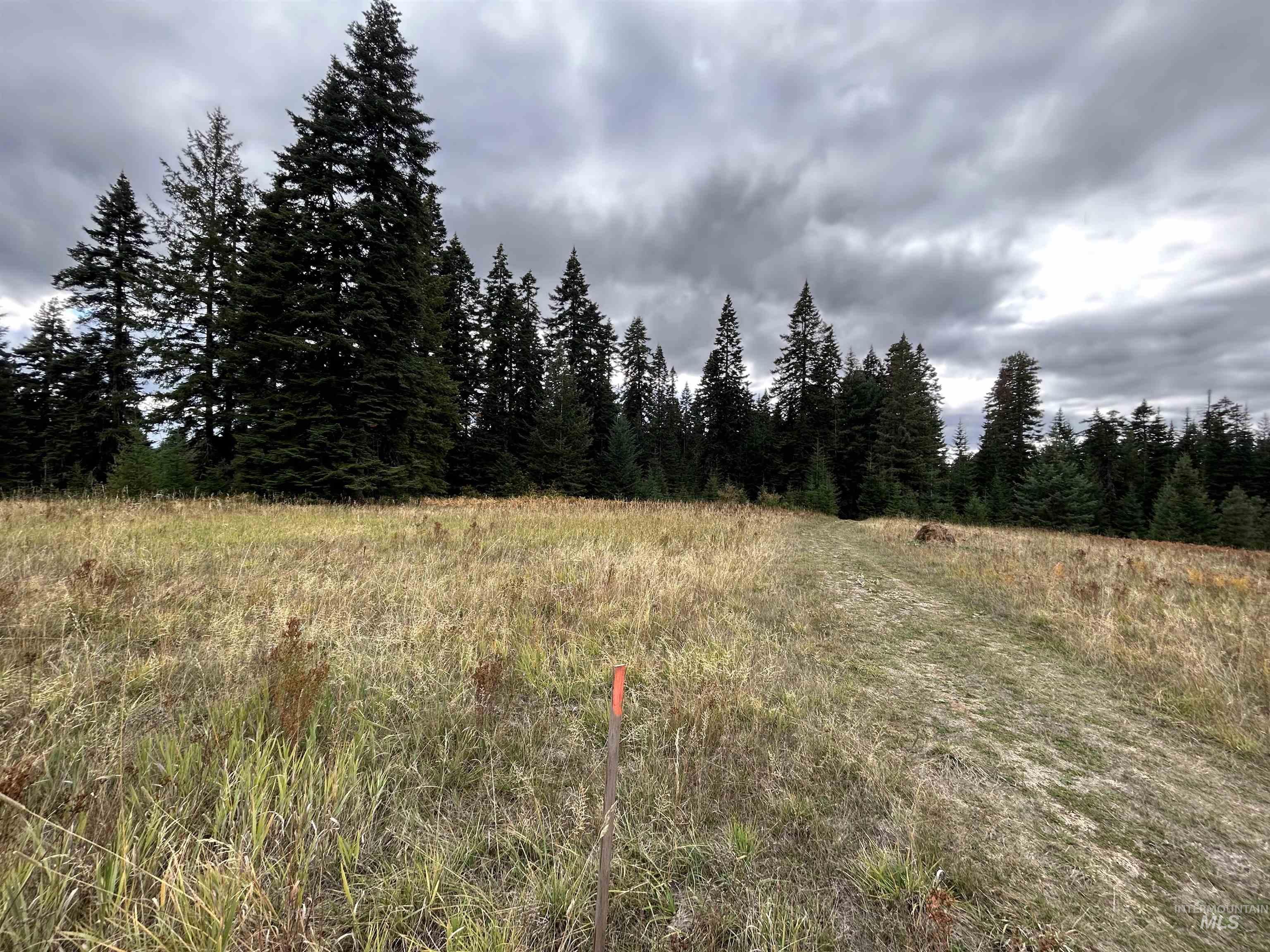 TBD LOT 3 Glenwood Road, Kamiah, Idaho 83536, Land For Sale, Price $145,000, 98966025