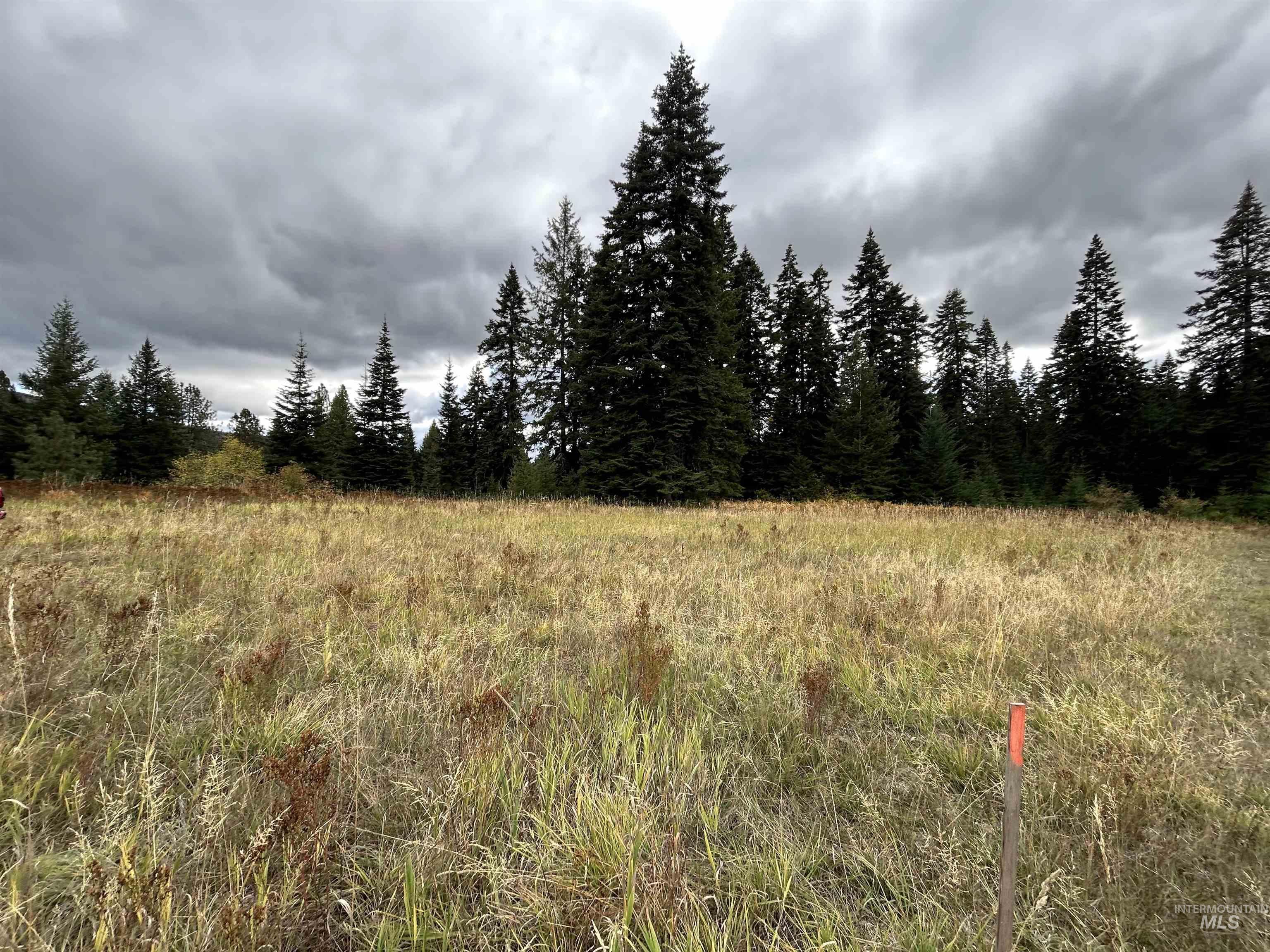 TBD LOT 3 Glenwood Road, Kamiah, Idaho 83536, Land For Sale, Price $145,000, 98966025