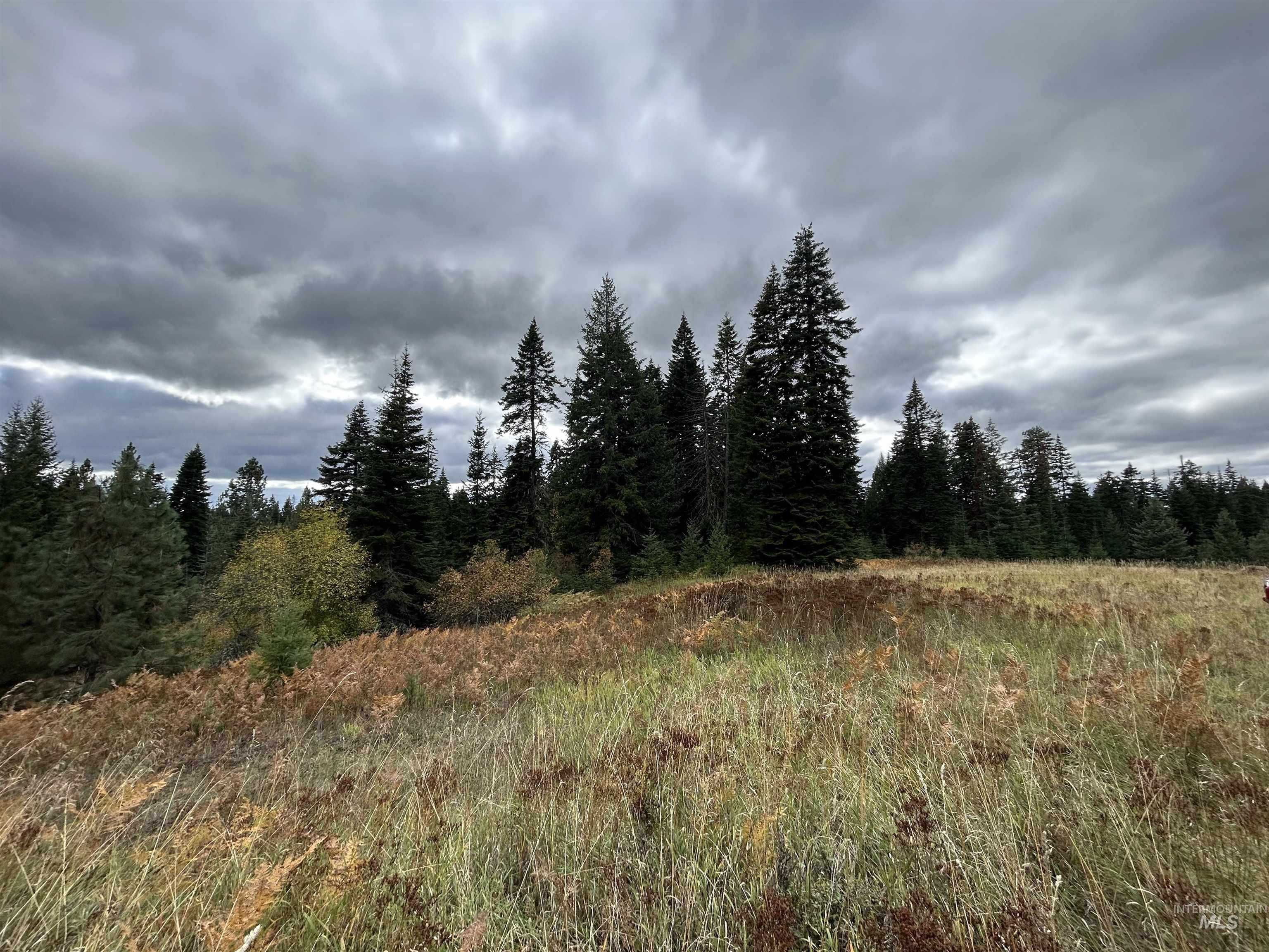 TBD LOT 3 Glenwood Road, Kamiah, Idaho 83536, Land For Sale, Price $145,000, 98966025