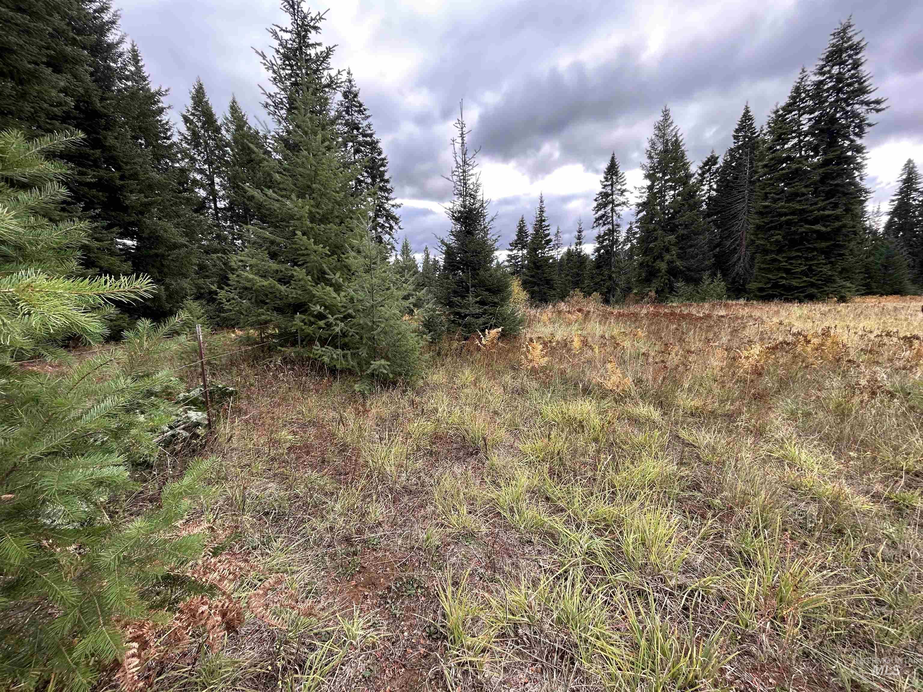 TBD LOT 3 Glenwood Road, Kamiah, Idaho 83536, Land For Sale, Price $145,000, 98966025