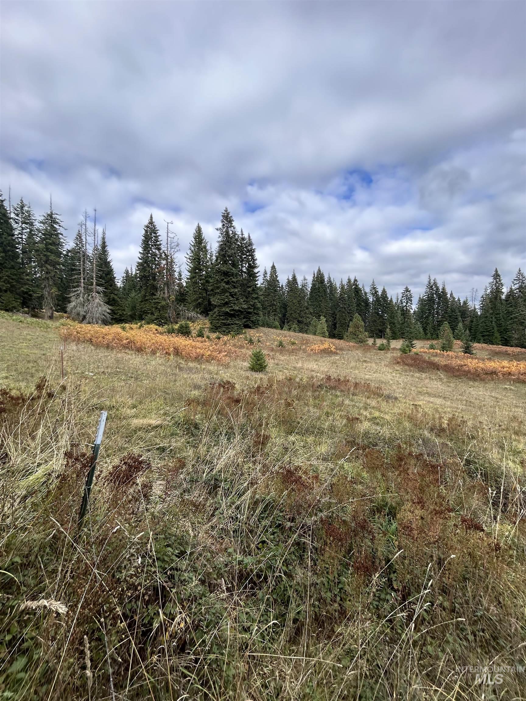 TBD LOT 3 Glenwood Road, Kamiah, Idaho 83536, Land For Sale, Price $145,000, 98966025