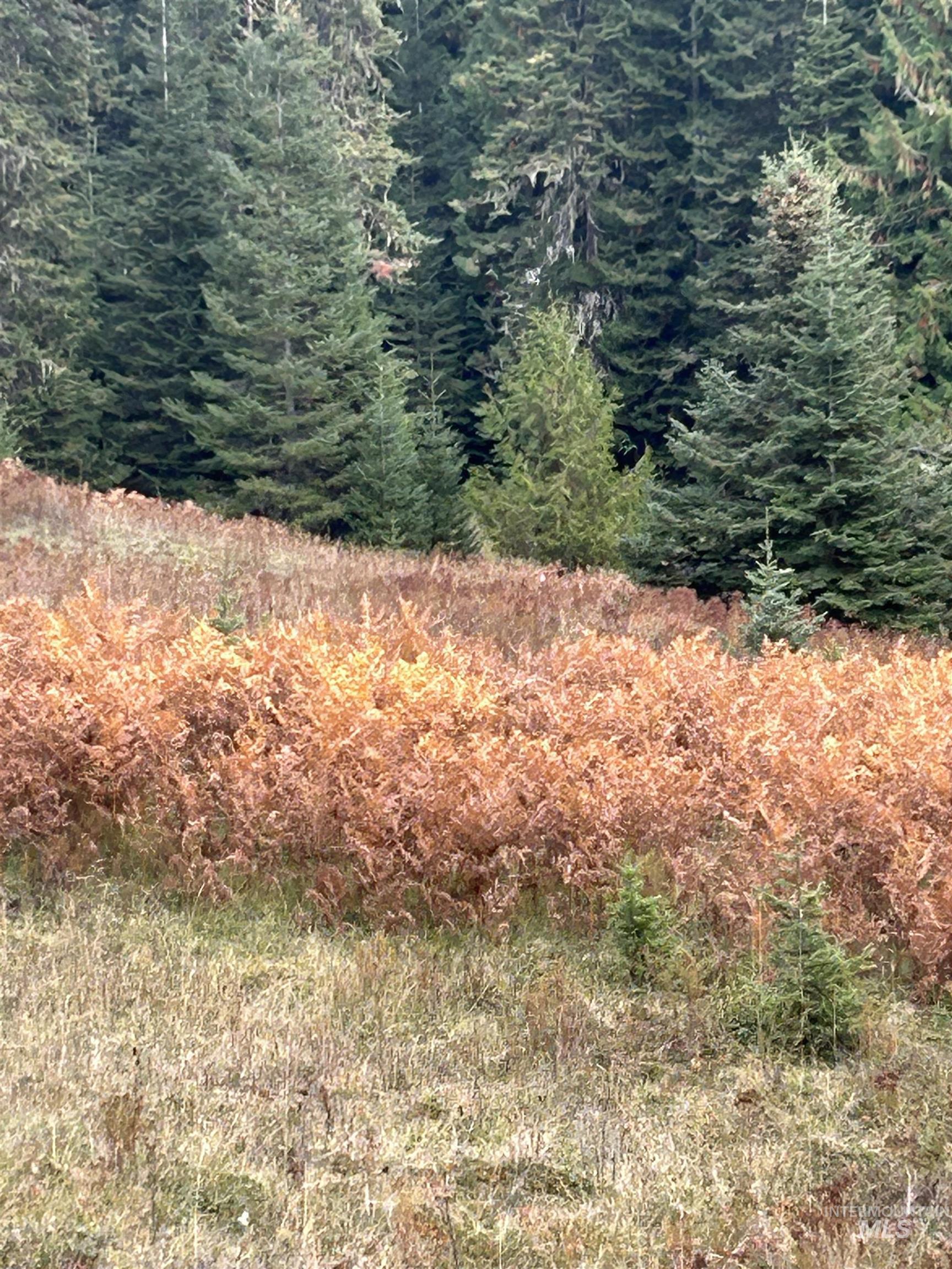 TBD LOT 3 Glenwood Road, Kamiah, Idaho 83536, Land For Sale, Price $145,000, 98966025