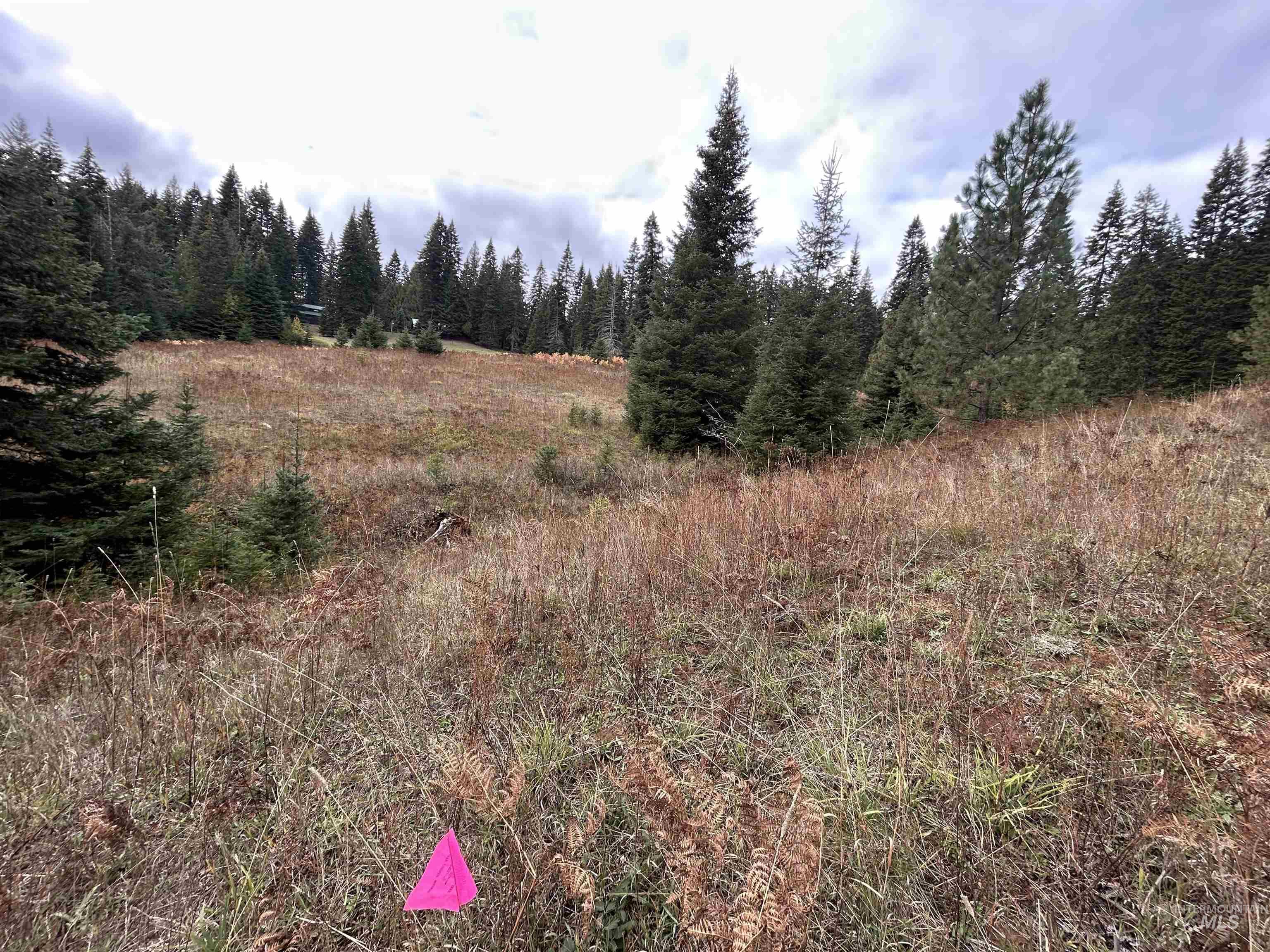 TBD LOT 3 Glenwood Road, Kamiah, Idaho 83536, Land For Sale, Price $145,000, 98966025