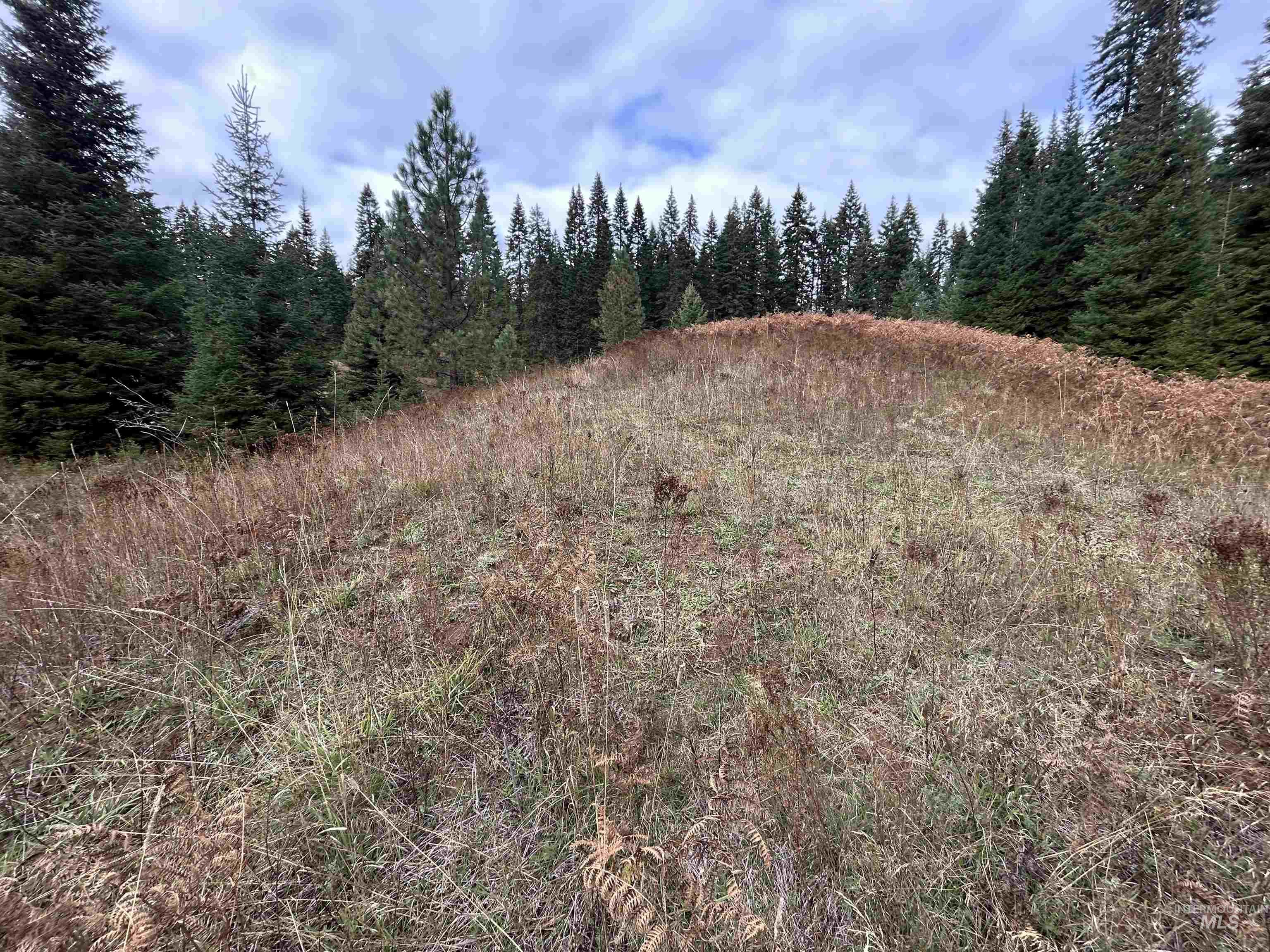 TBD LOT 3 Glenwood Road, Kamiah, Idaho 83536, Land For Sale, Price $145,000, 98966025