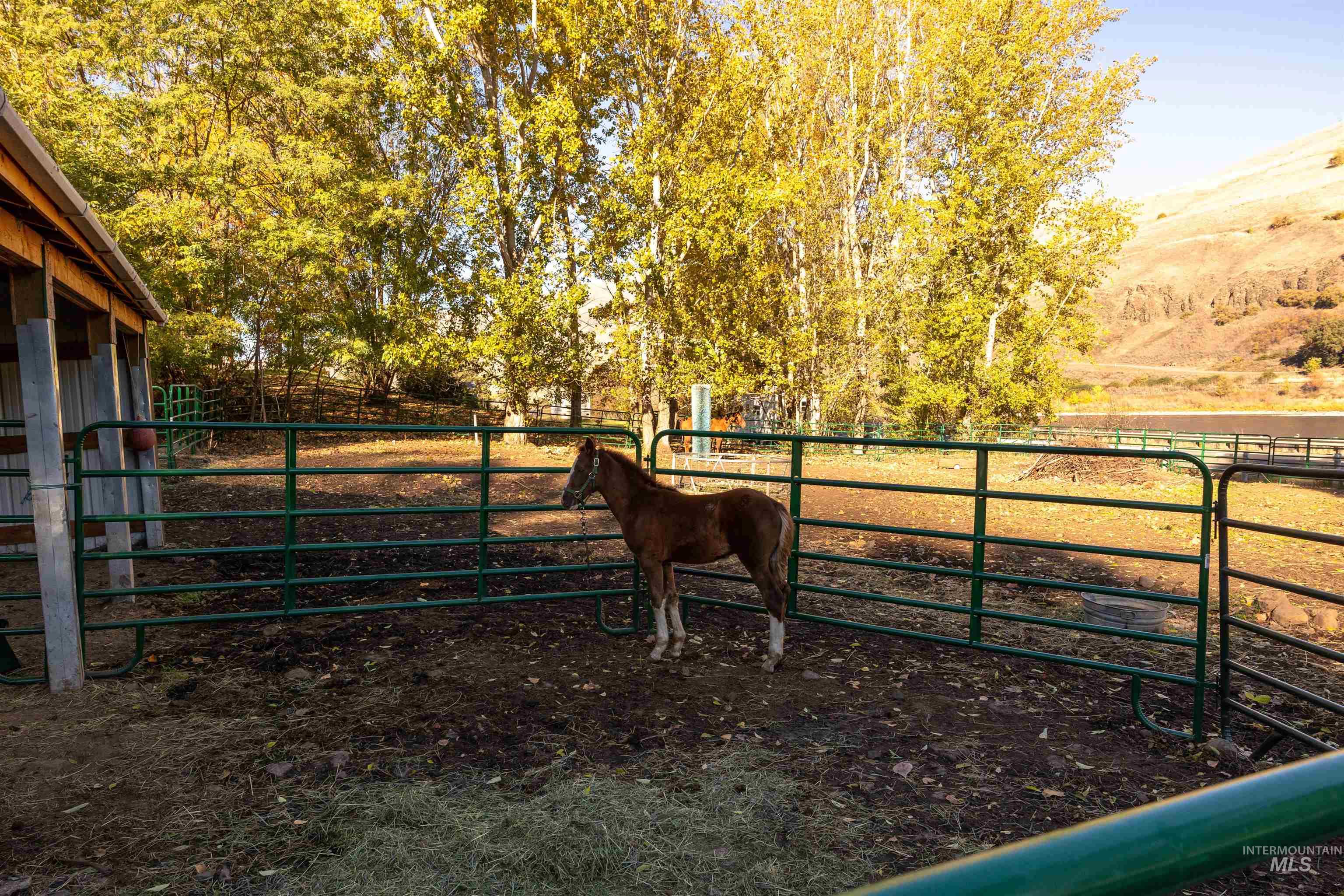 Stable featuring a view of rural / pastoral area
