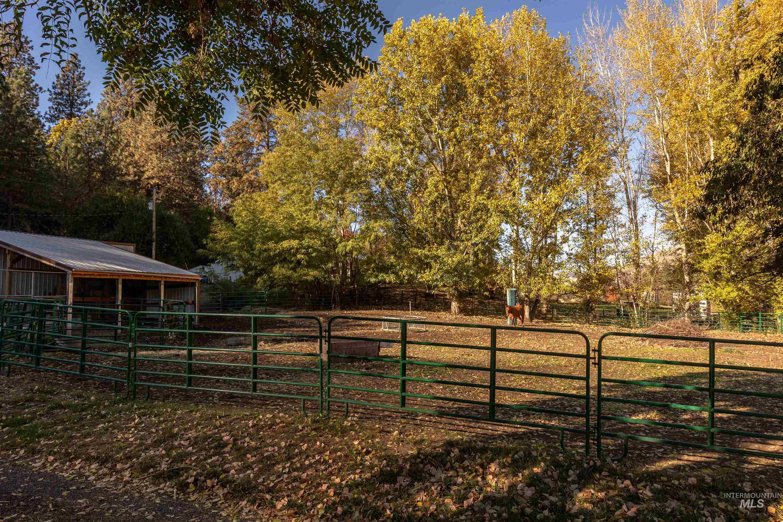 Stable with view of scattered trees