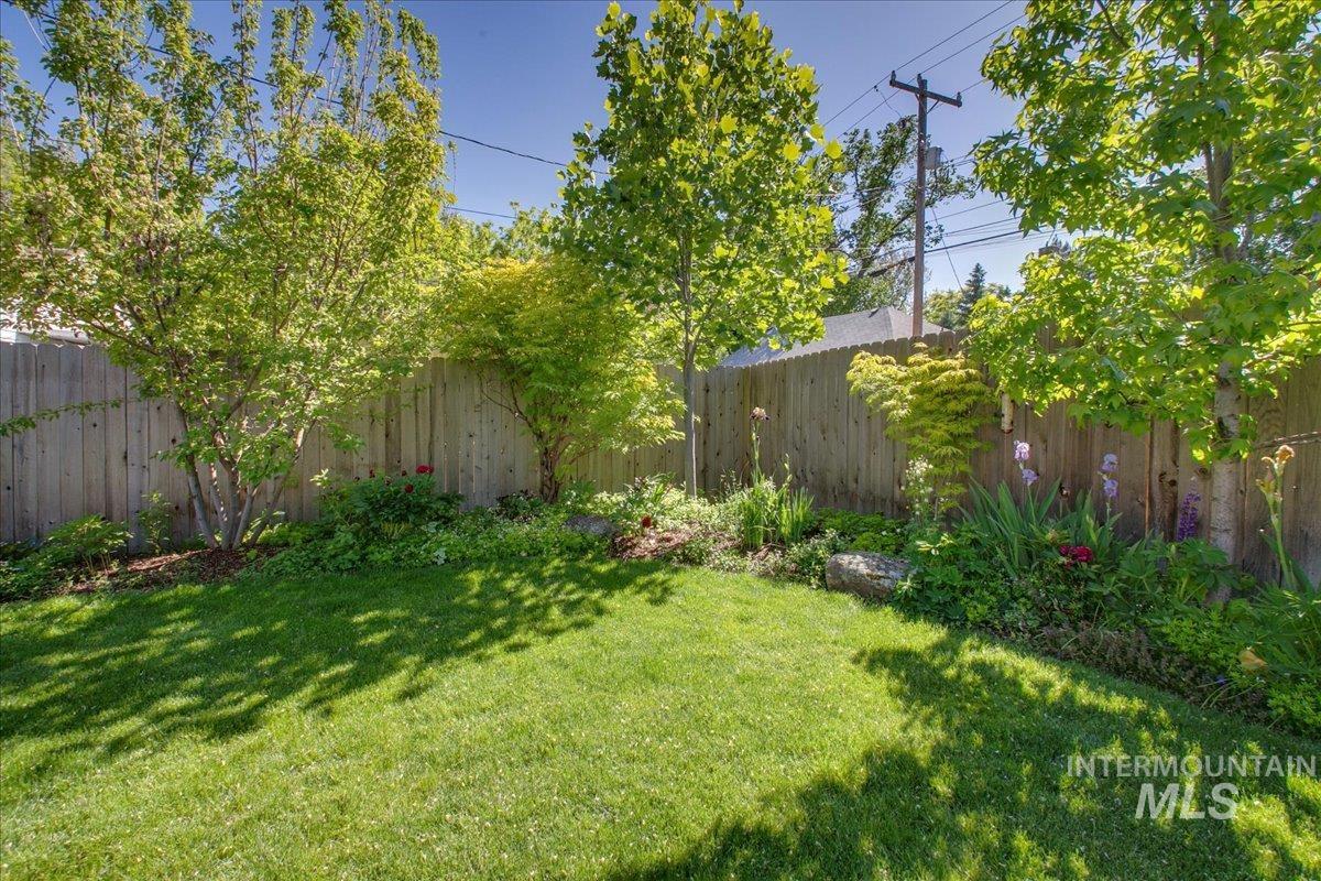 View of fenced backyard