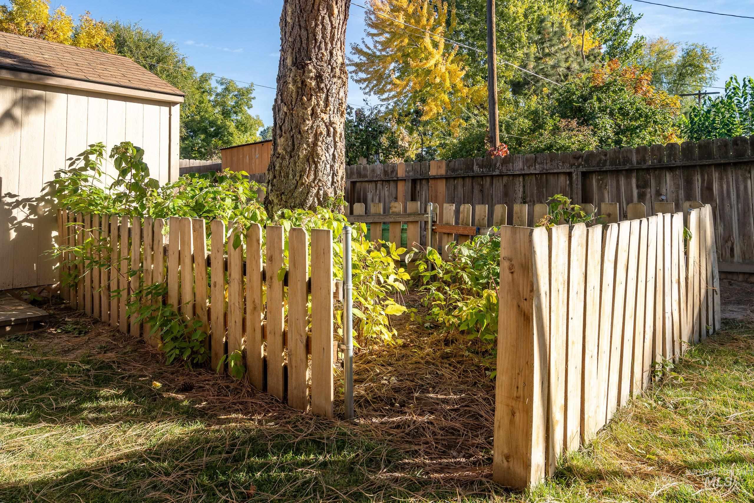 View of fenced backyard
