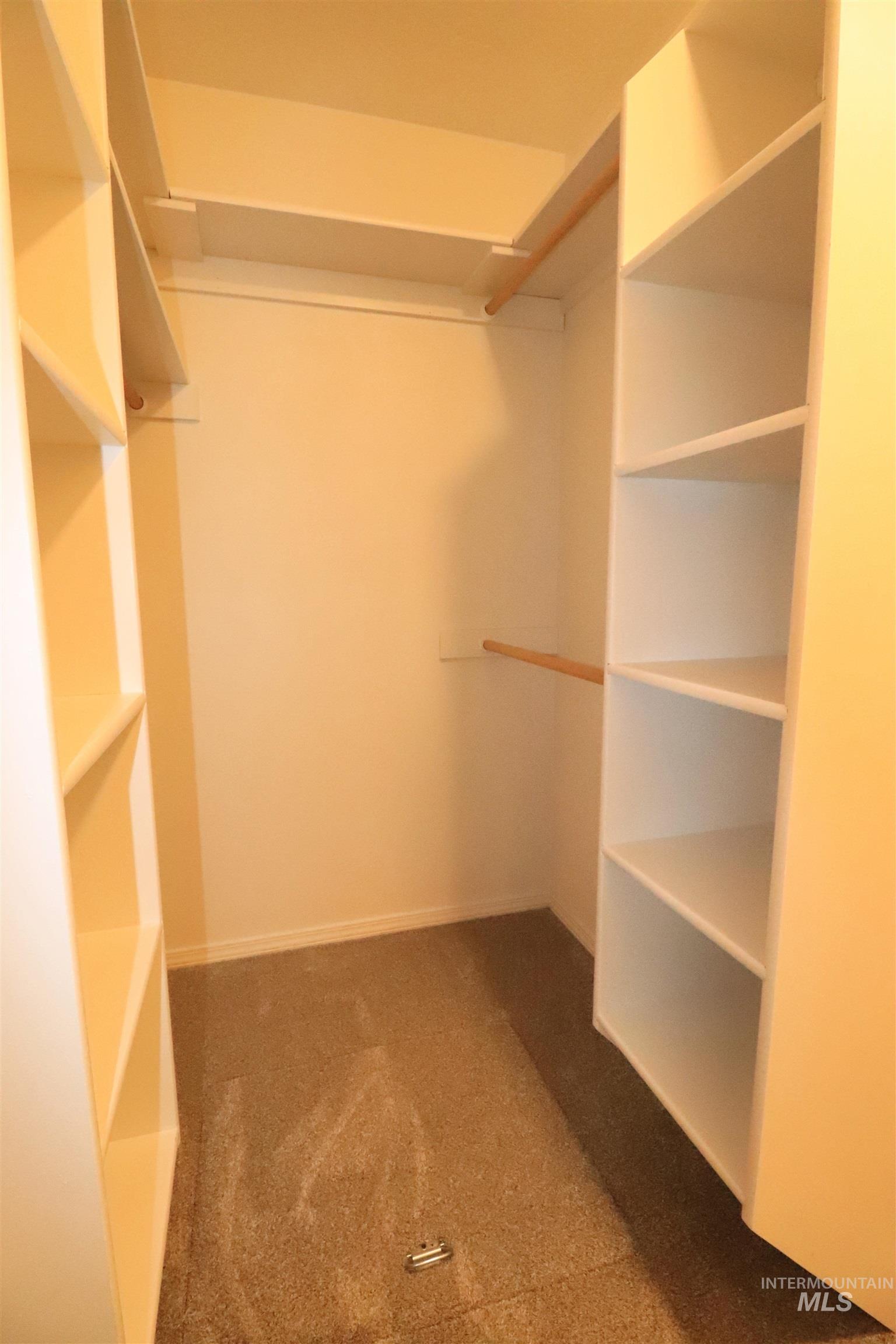 Spacious closet featuring carpet
