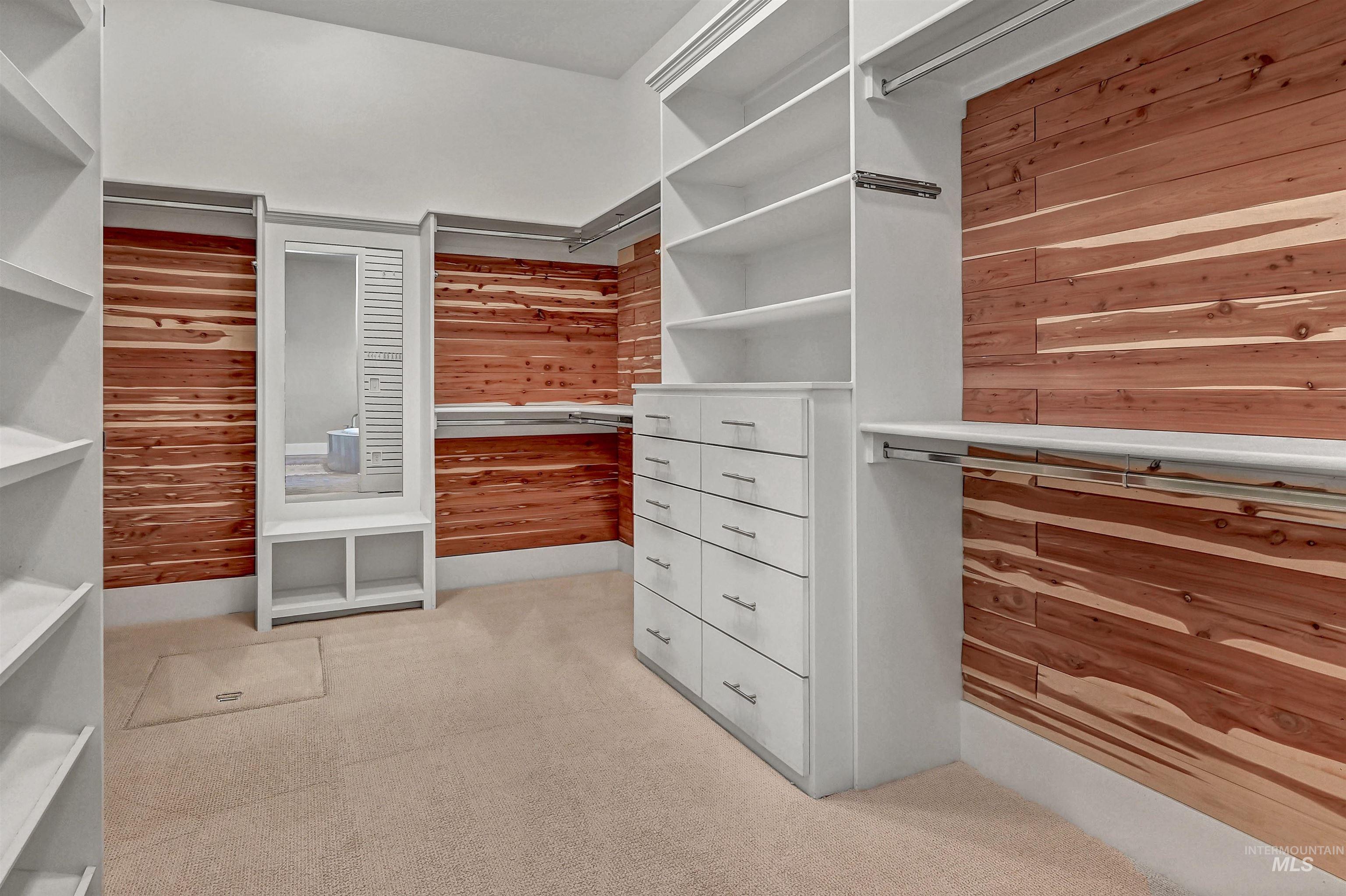 Spacious closet featuring light carpet