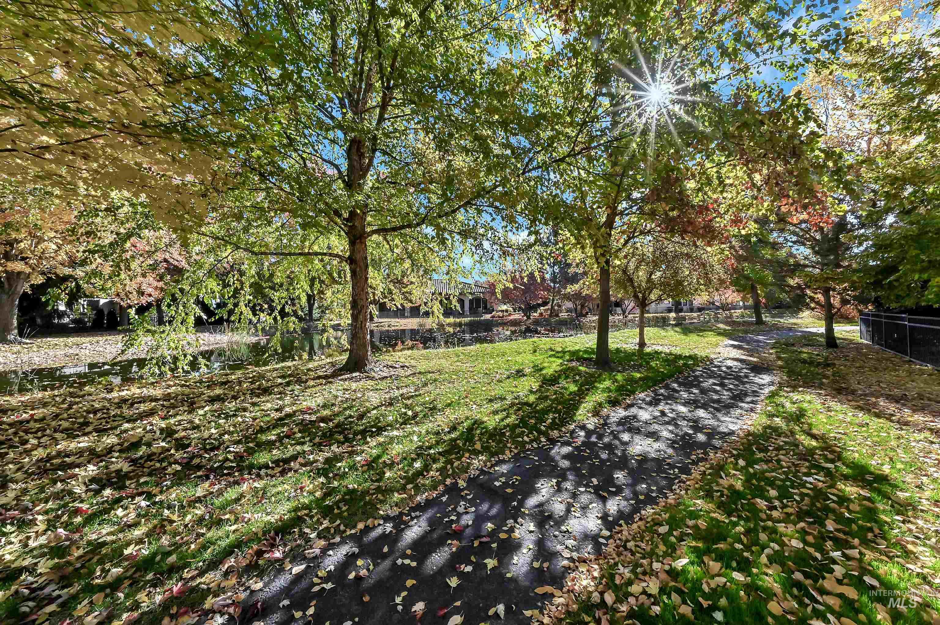 Surrounding community with a lawn and view of scattered trees