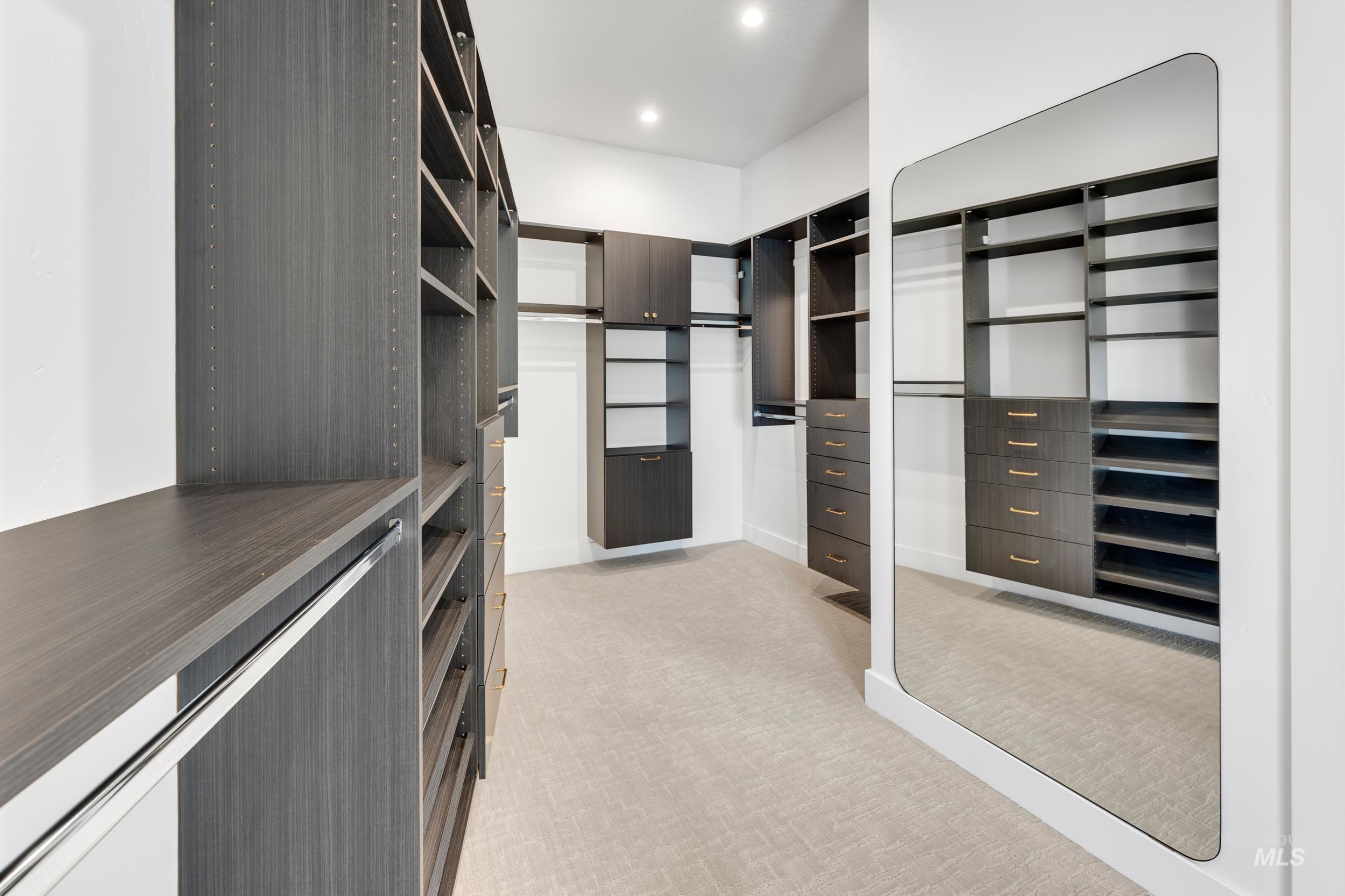 Spacious closet featuring light carpet