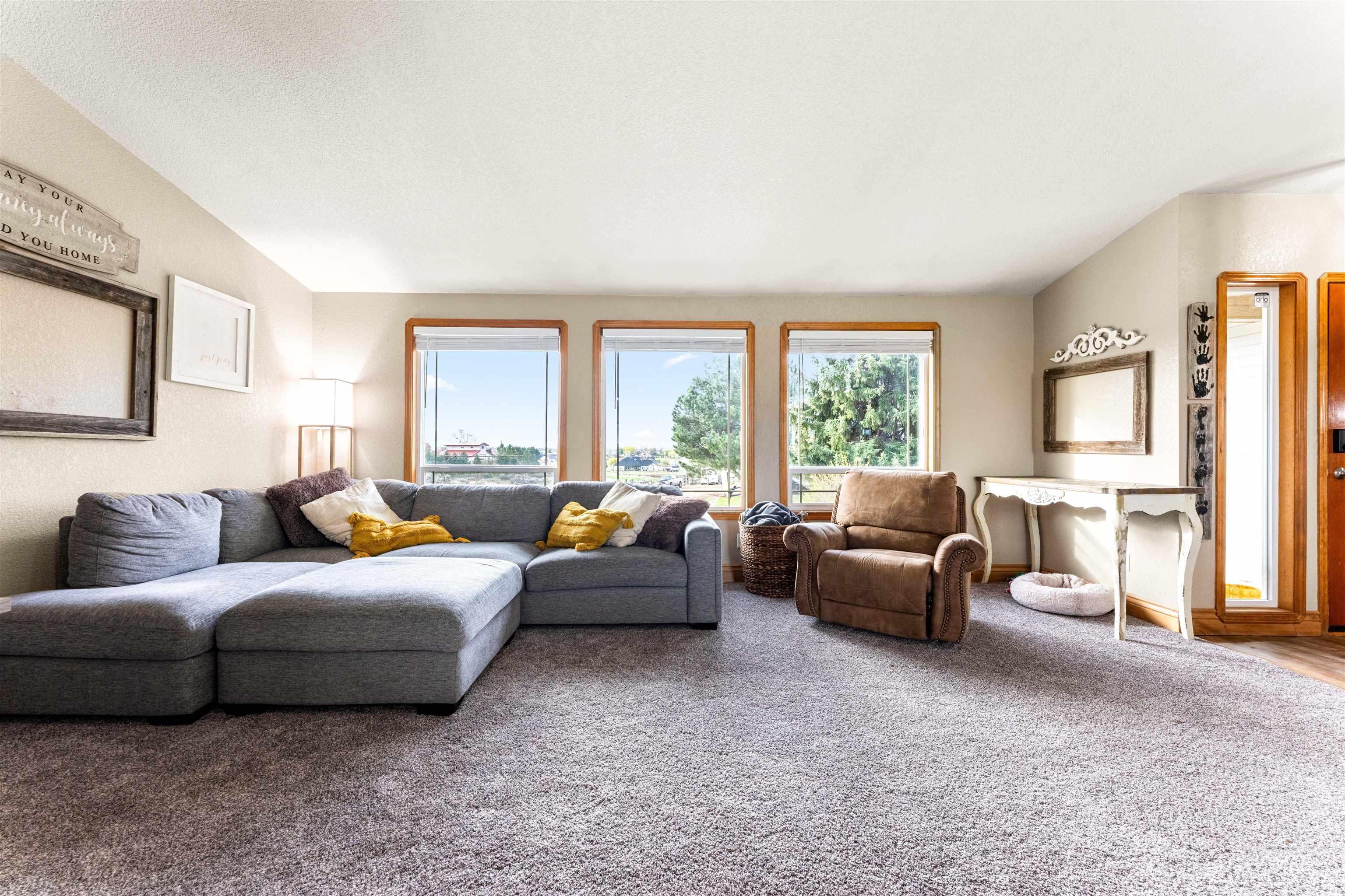 Living area featuring carpet and baseboards