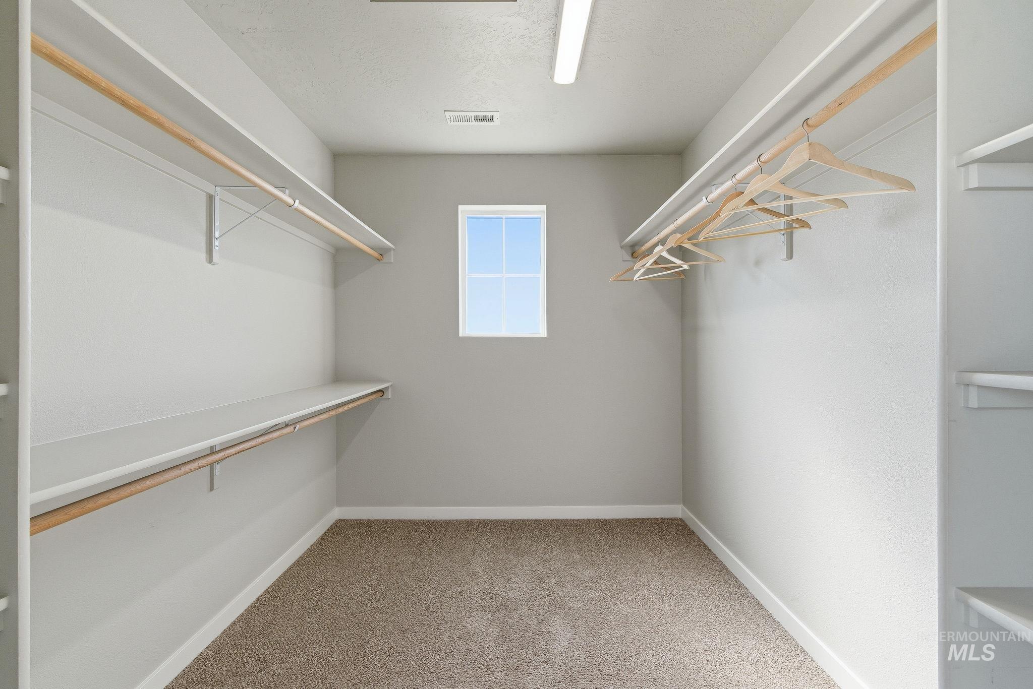 Spacious closet featuring light carpet