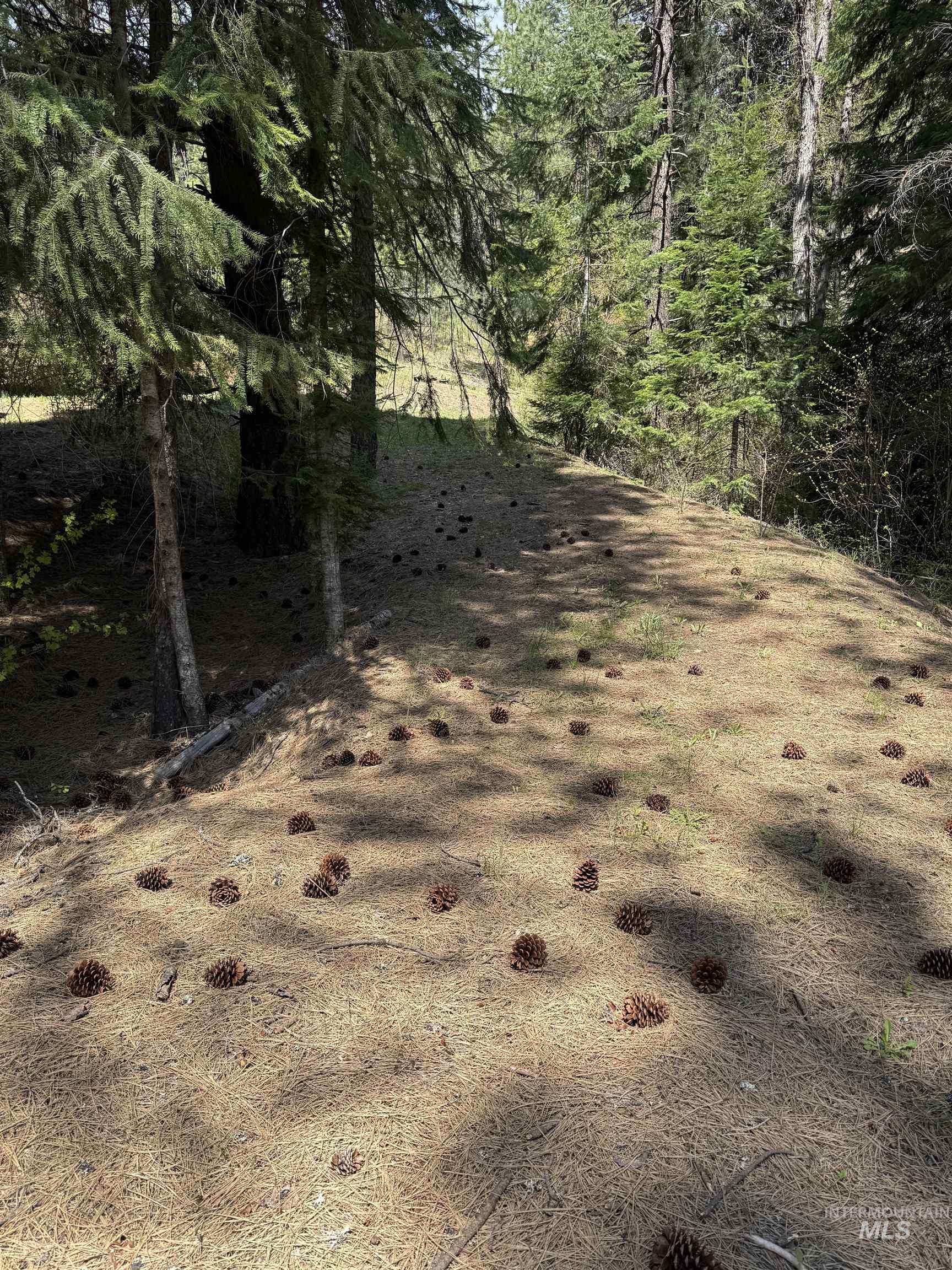 2857 Hillman Basin Rd, Pollock, Idaho 83547, 3 Bedrooms, 2 Bathrooms, Residential For Sale, Price $625,000, 98966158