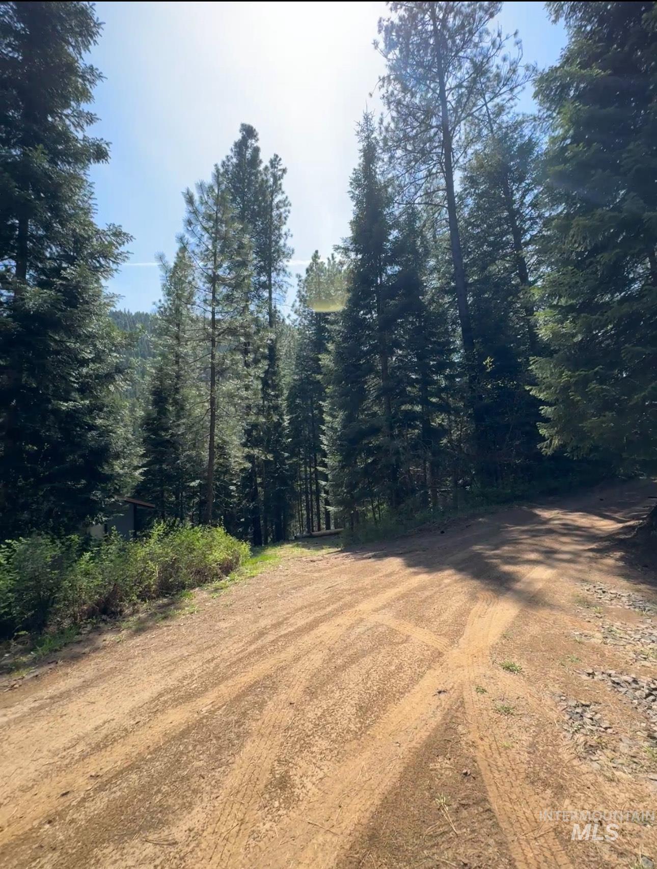 2857 Hillman Basin Rd, Pollock, Idaho 83547, 3 Bedrooms, 2 Bathrooms, Residential For Sale, Price $625,000, 98966158