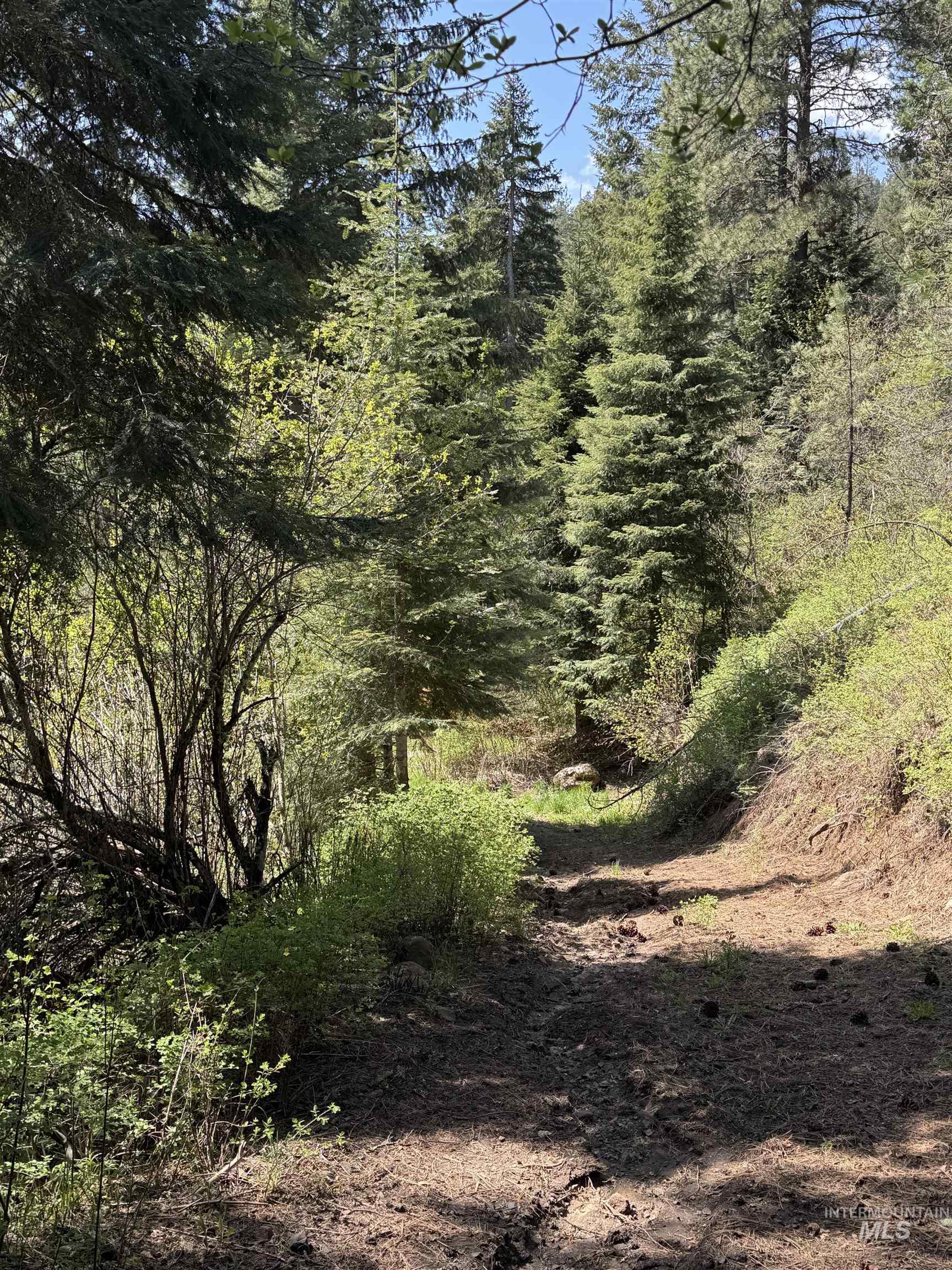 2857 Hillman Basin Rd, Pollock, Idaho 83547, 3 Bedrooms, 2 Bathrooms, Residential For Sale, Price $625,000, 98966158