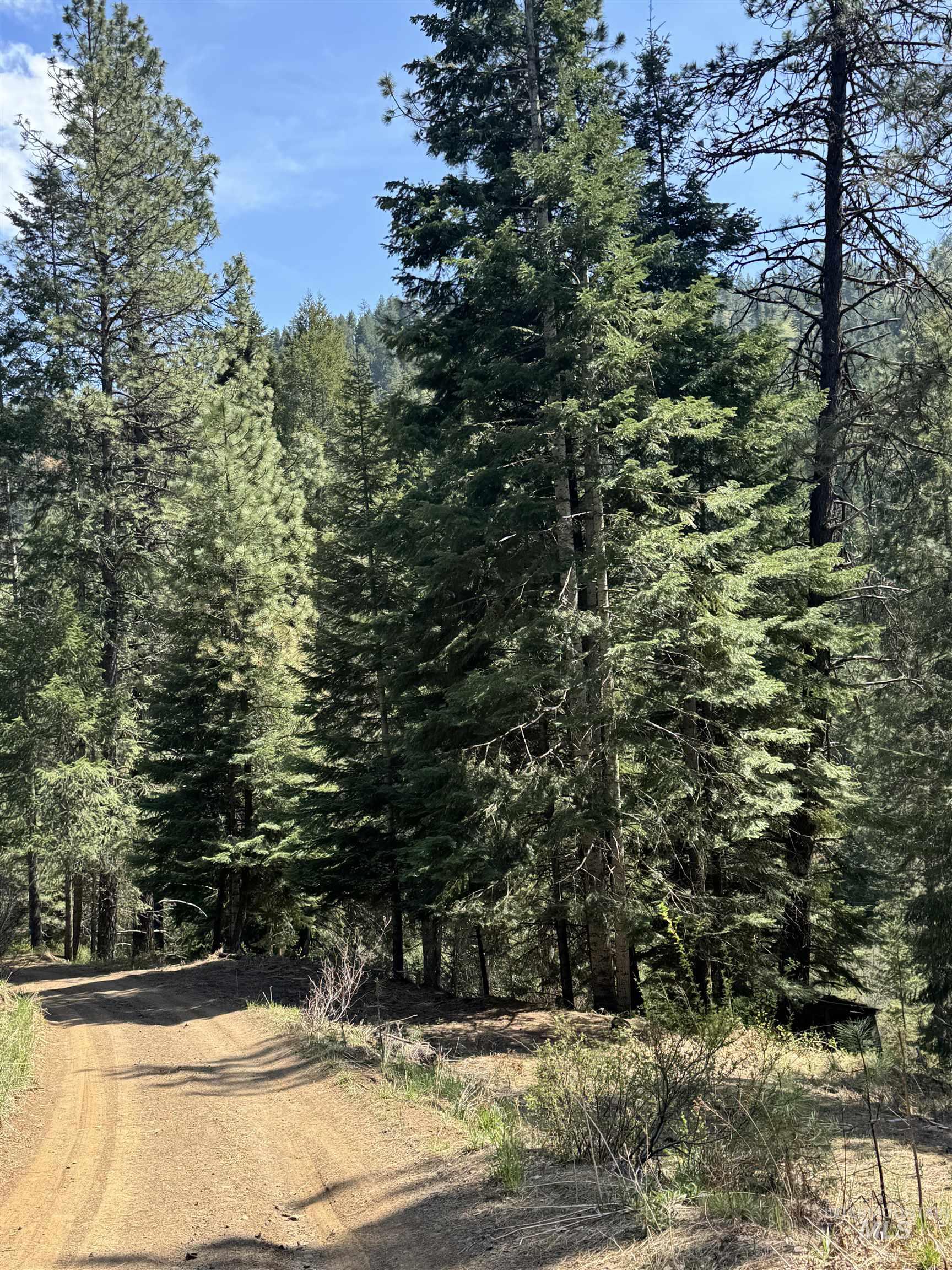 2857 Hillman Basin Rd, Pollock, Idaho 83547, 3 Bedrooms, 2 Bathrooms, Residential For Sale, Price $625,000, 98966158