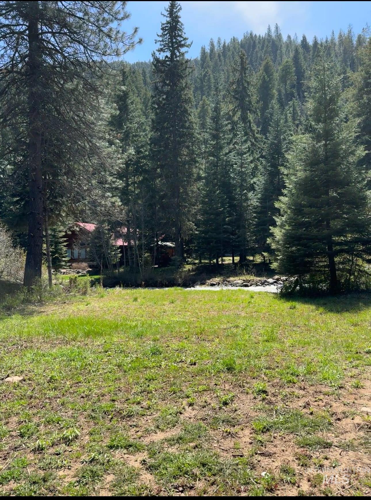 2857 Hillman Basin Rd, Pollock, Idaho 83547, 3 Bedrooms, 2 Bathrooms, Residential For Sale, Price $625,000, 98966158