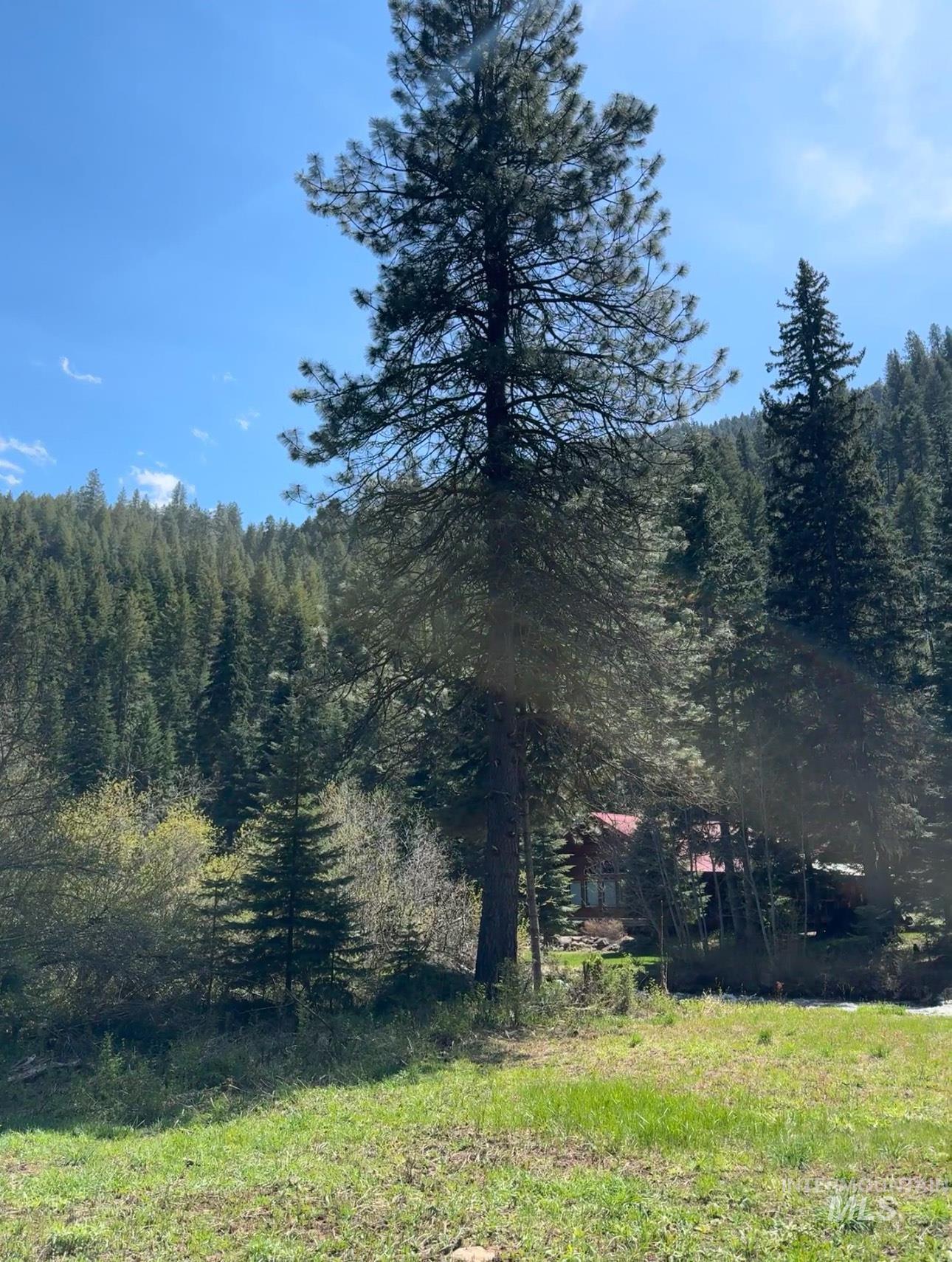 2857 Hillman Basin Rd, Pollock, Idaho 83547, 3 Bedrooms, 2 Bathrooms, Residential For Sale, Price $625,000, 98966158