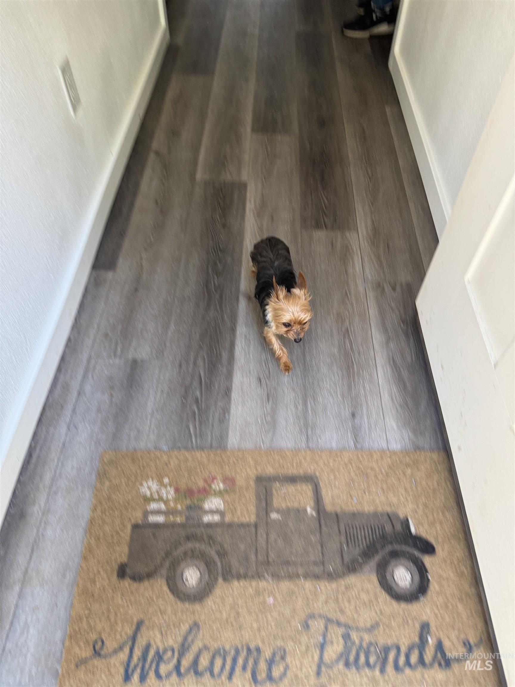 2857 Hillman Basin Rd, Pollock, Idaho 83547, 3 Bedrooms, 2 Bathrooms, Residential For Sale, Price $625,000, 98966158