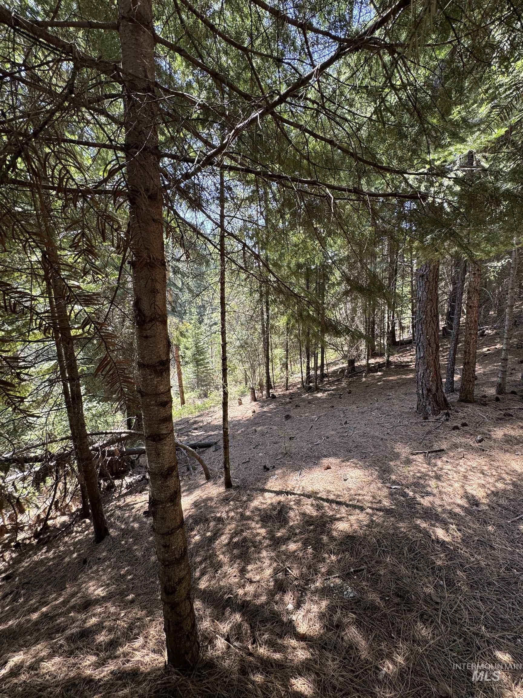 2857 Hillman Basin Rd, Pollock, Idaho 83547, 3 Bedrooms, 2 Bathrooms, Residential For Sale, Price $625,000, 98966158